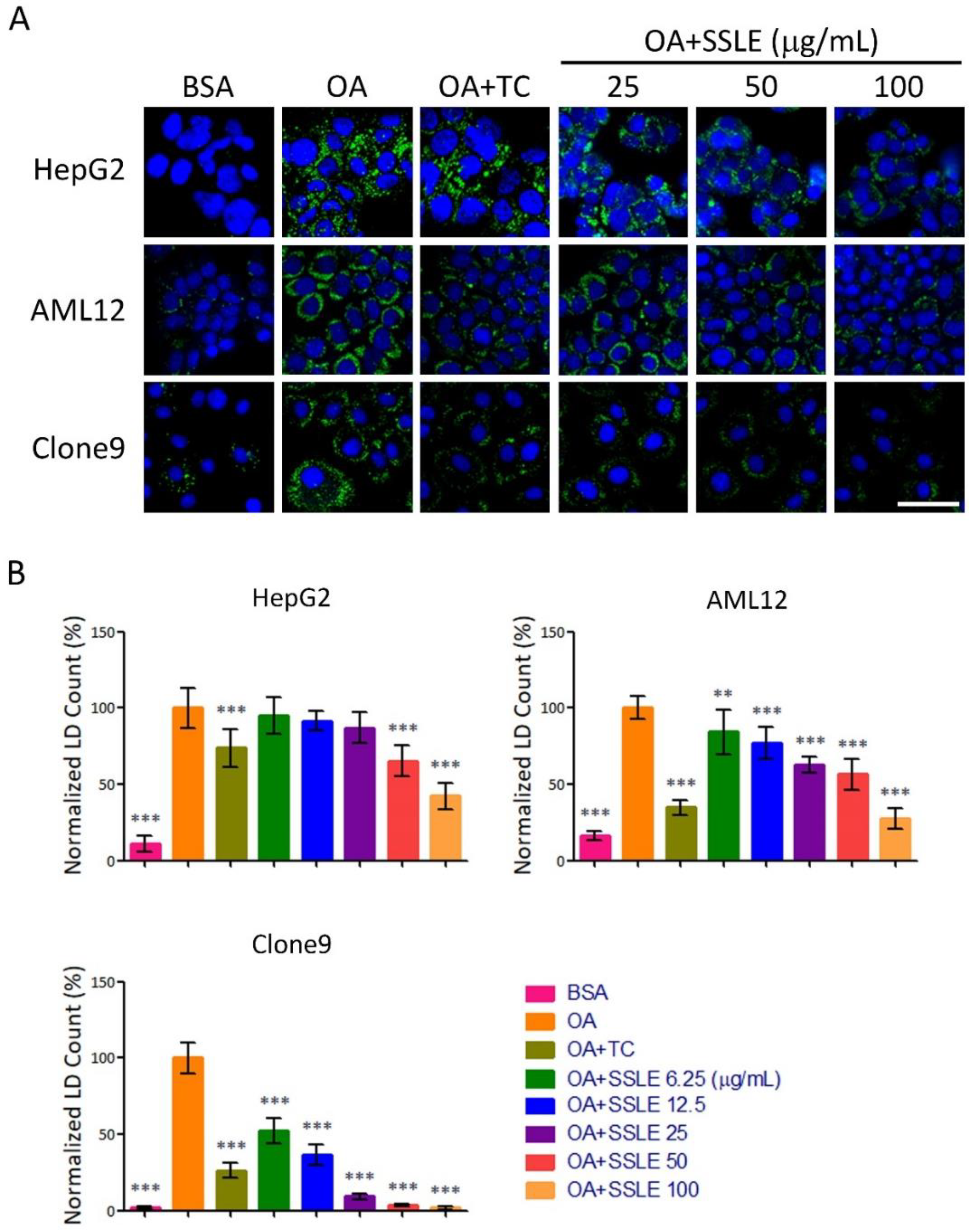 Ijms 19 02130 g003 Ijms 19 02130 g003