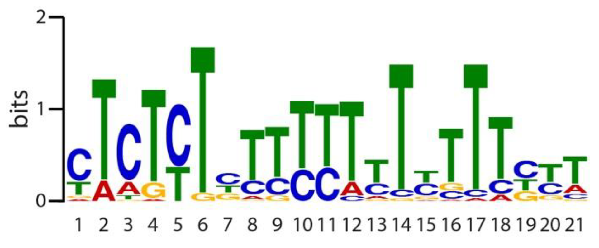Ijms 19 02132 g006 Ijms 19 02132 g006