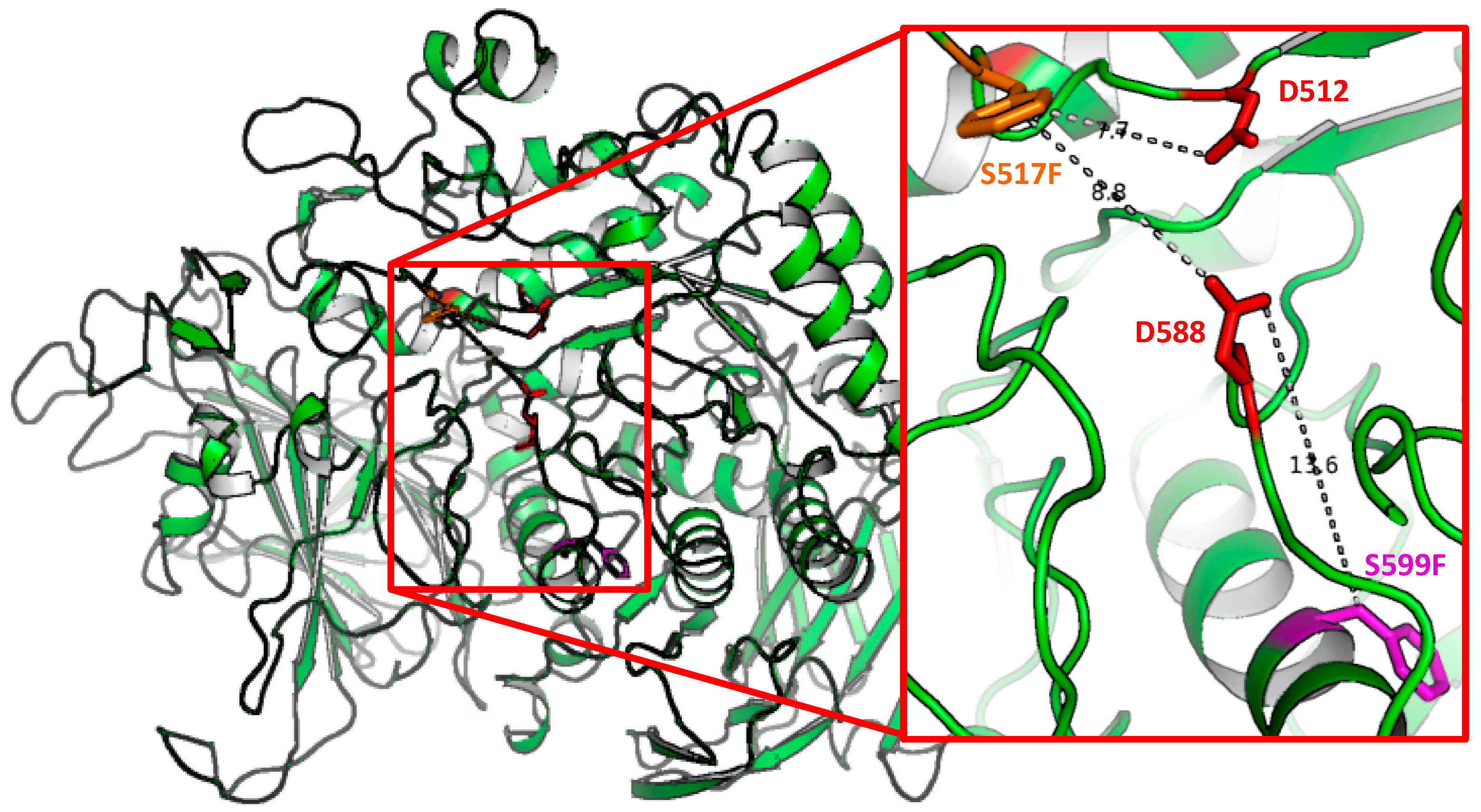 Ijms 19 02135 g004 Ijms 19 02135 g004
