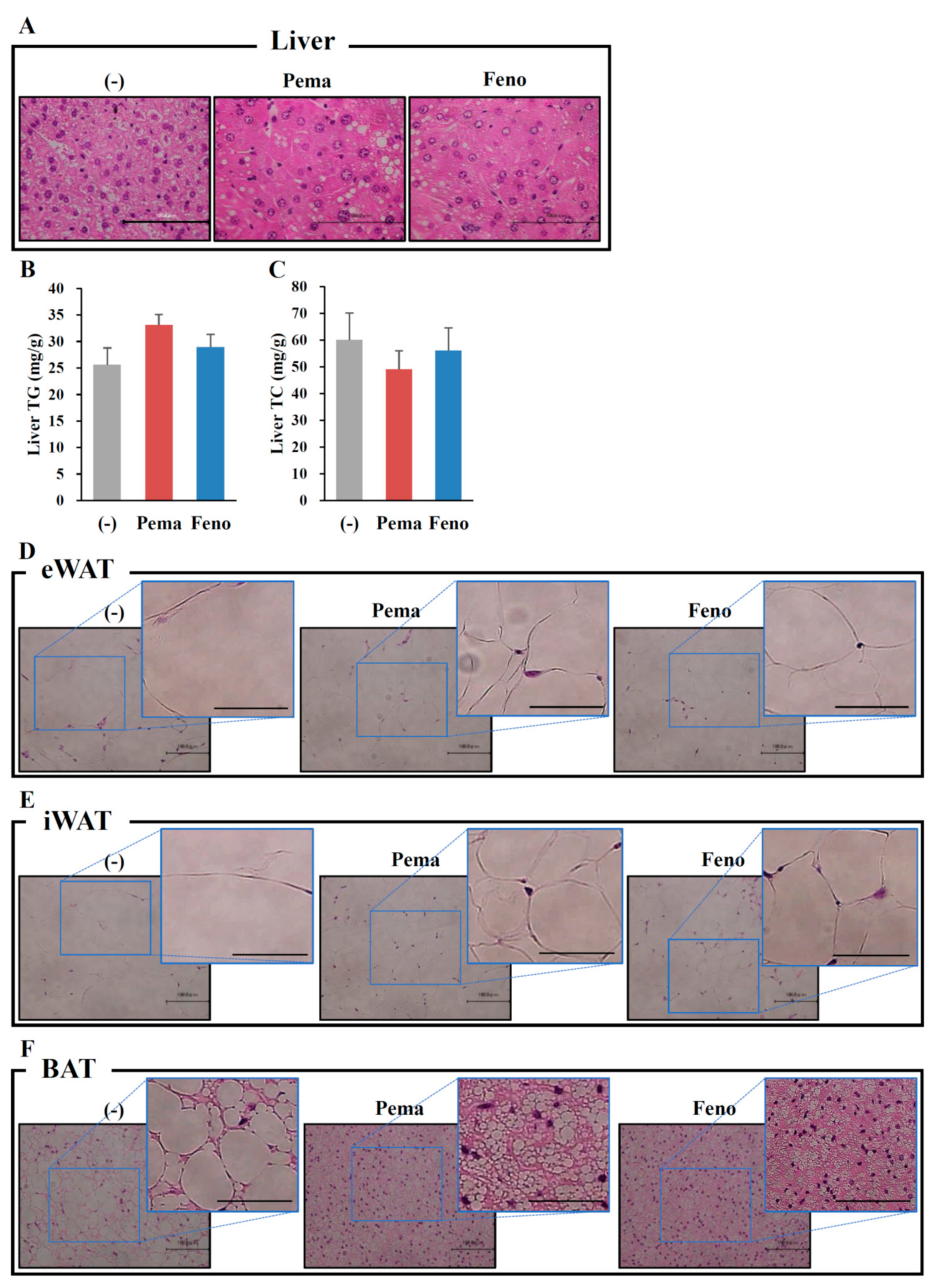 Ijms 19 02148 g002 Ijms 19 02148 g002