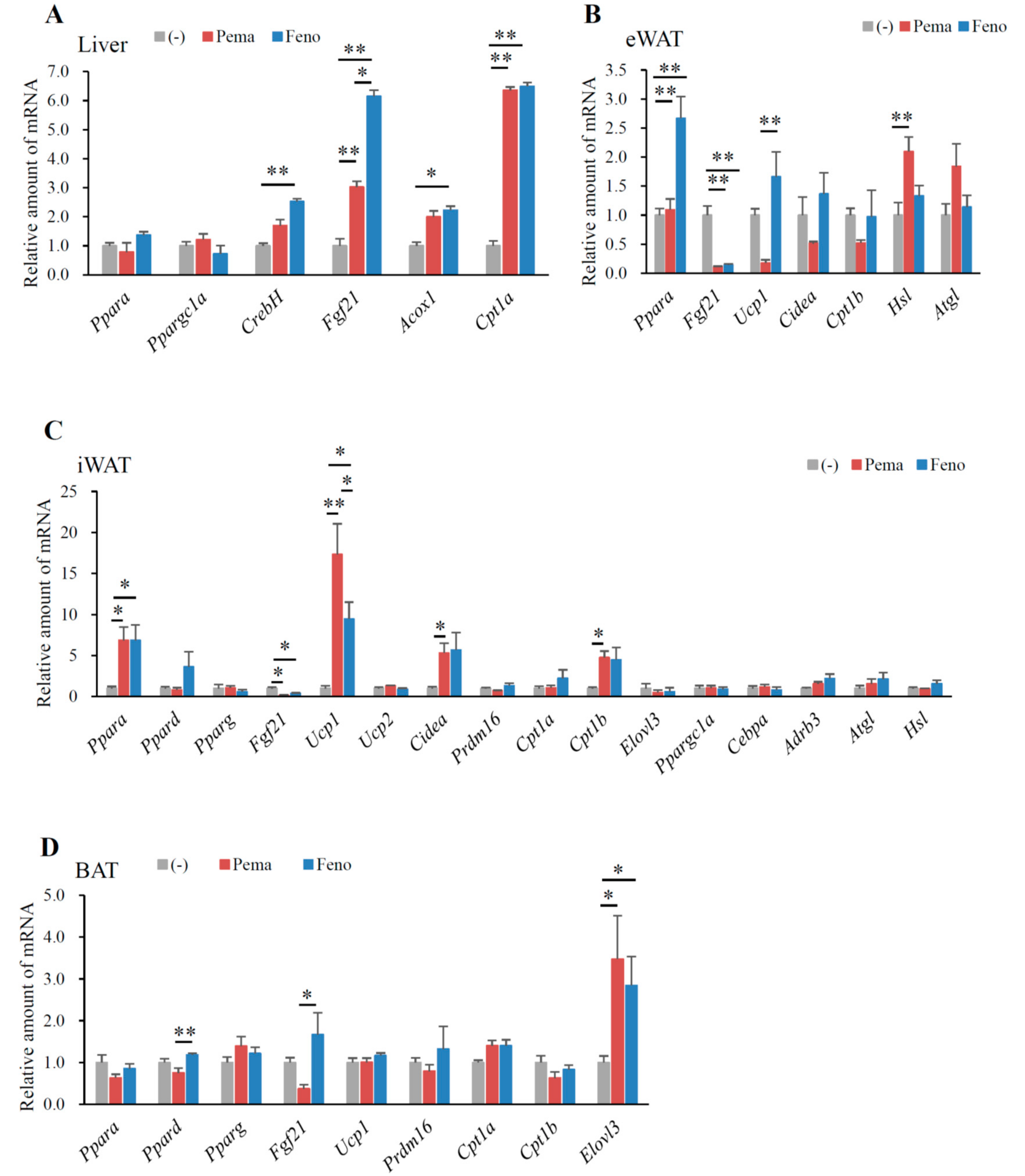 Ijms 19 02148 g004 Ijms 19 02148 g004