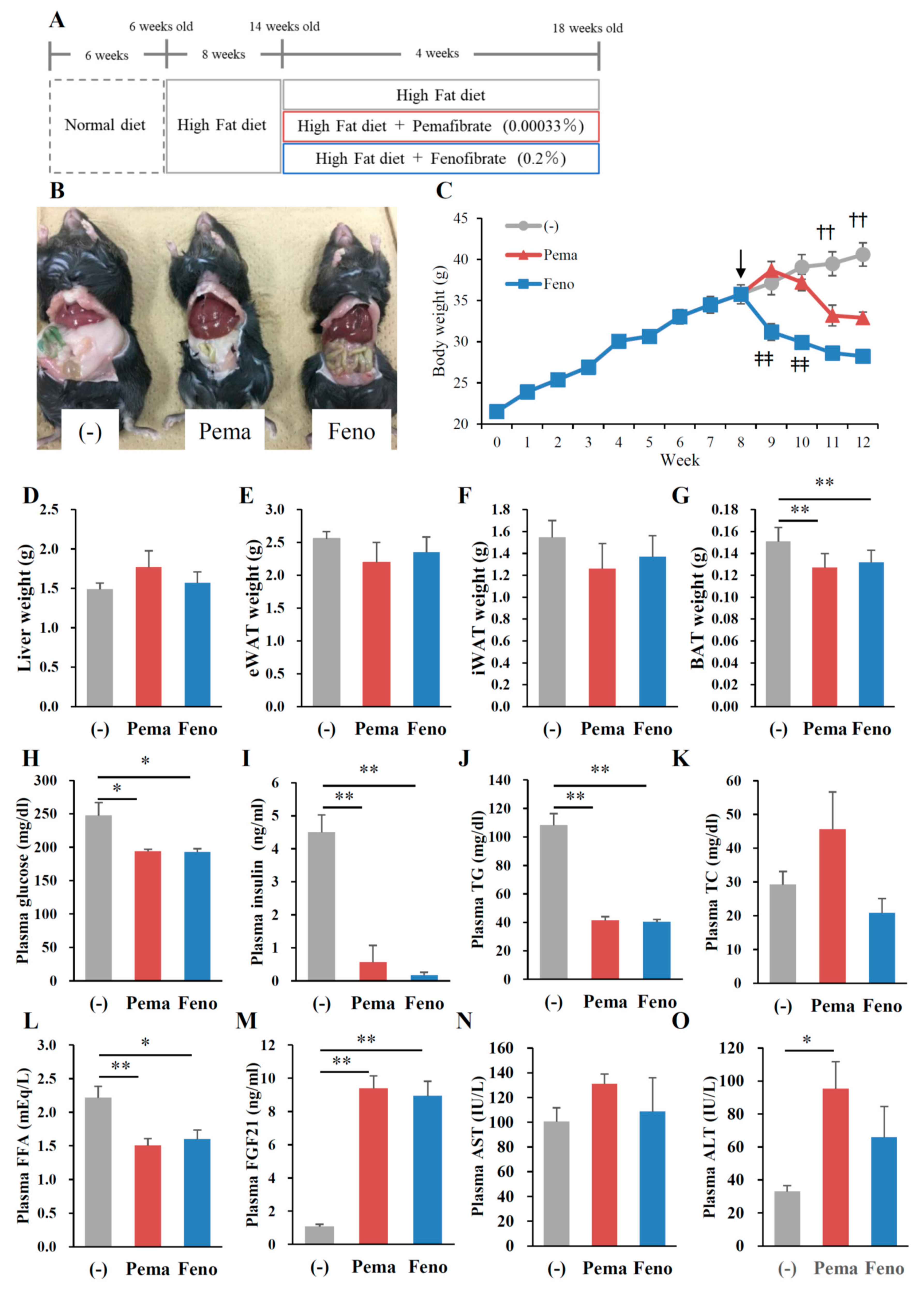 Ijms 19 02148 g005 Ijms 19 02148 g005
