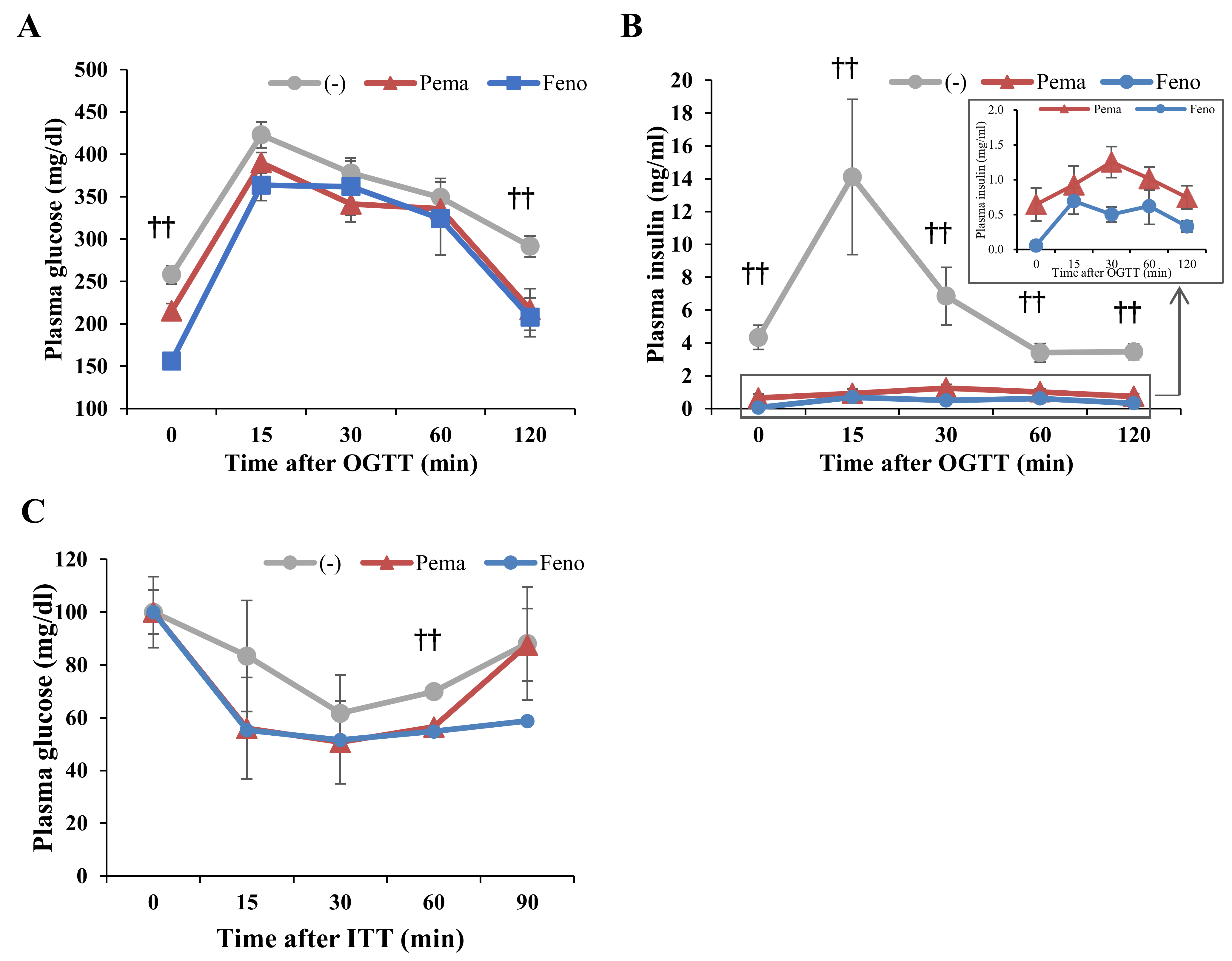 Ijms 19 02148 g006 Ijms 19 02148 g006