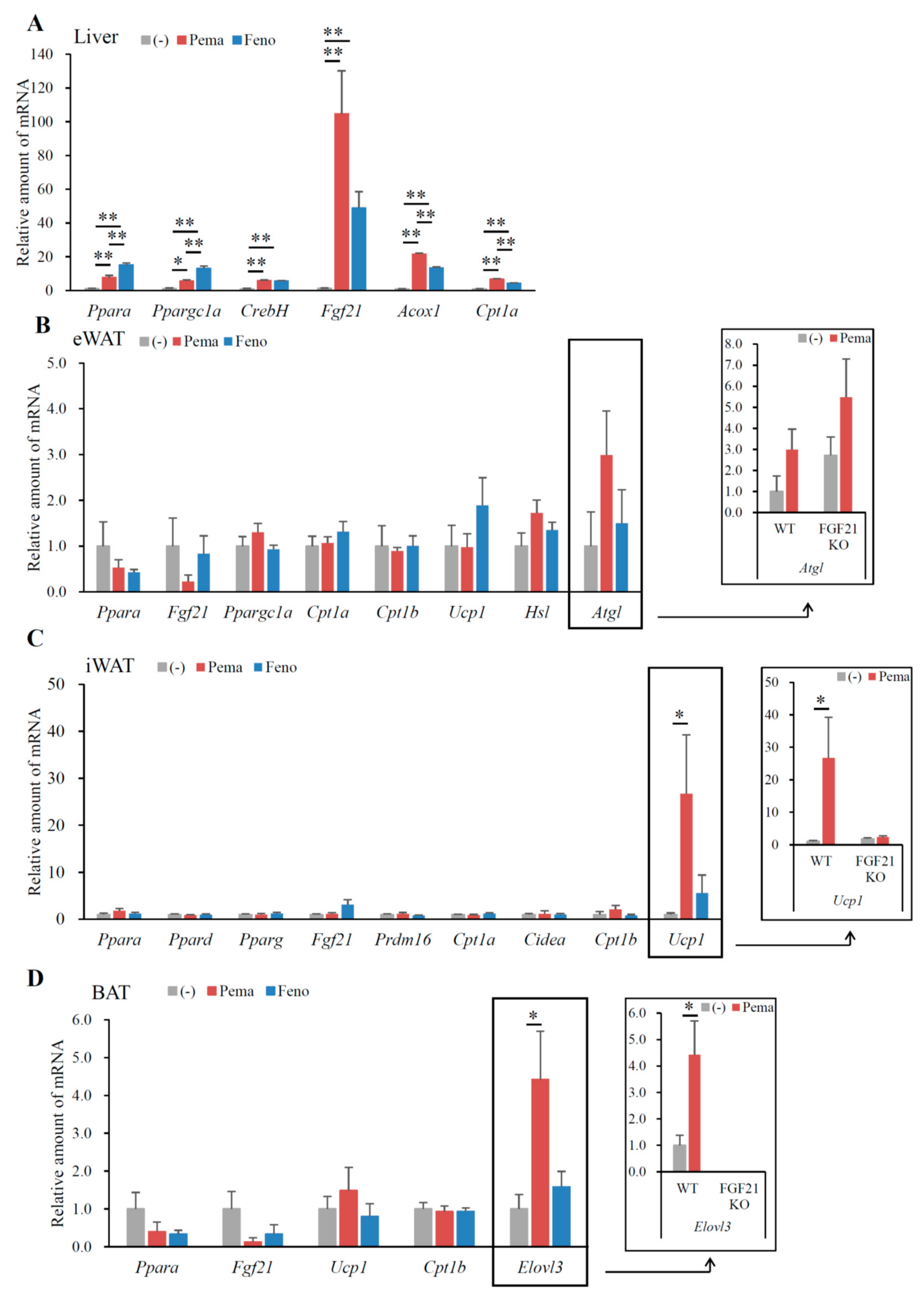 Ijms 19 02148 g009 Ijms 19 02148 g009