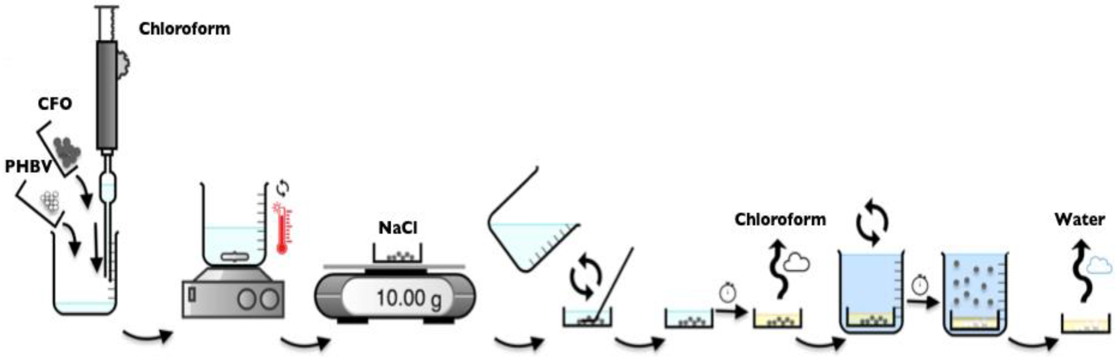 Ijms 19 02149 g012