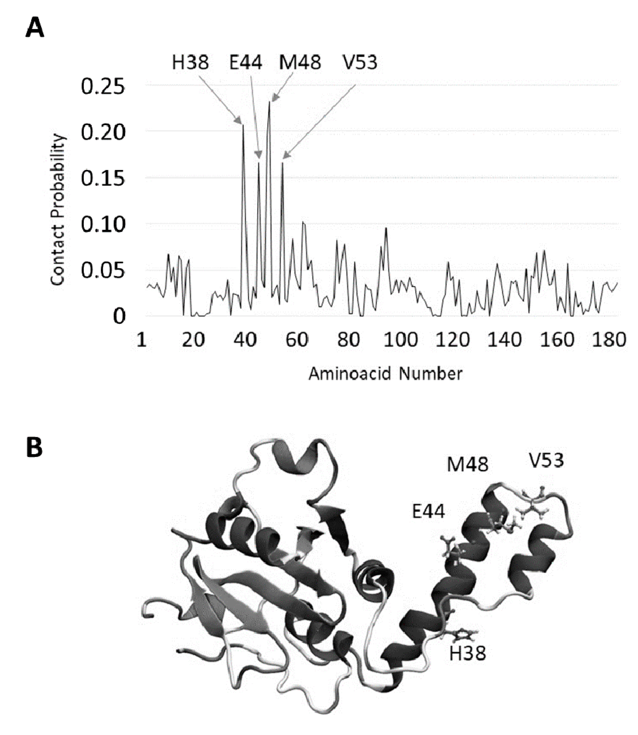 Ijms 19 02151 g006 550