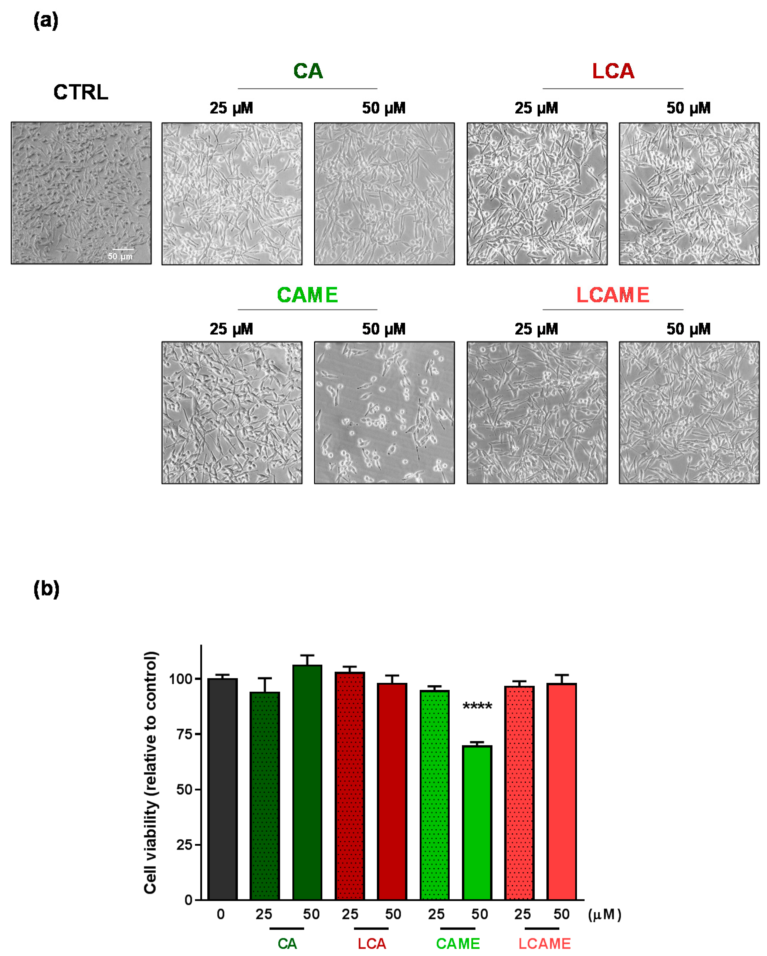 Ijms 19 02156 g004 Ijms 19 02156 g004