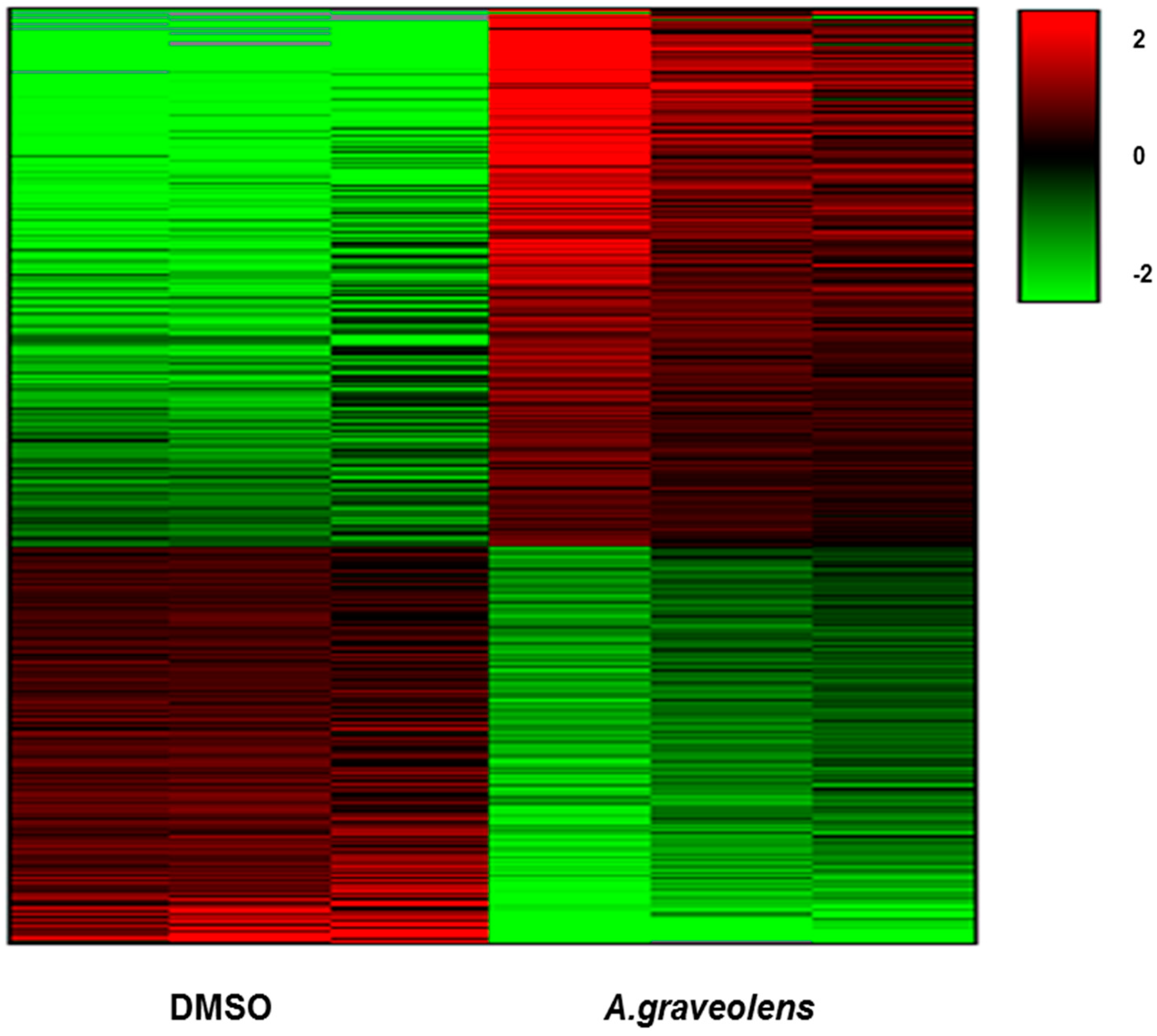 Ijms 19 02162 g005 Ijms 19 02162 g005