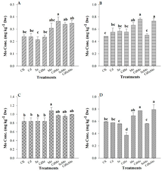 Ijms Free Full Text Can Selenium And Molybdenum Restrain Cadmium Toxicity To Pollen Grains In Brassica Napus Html