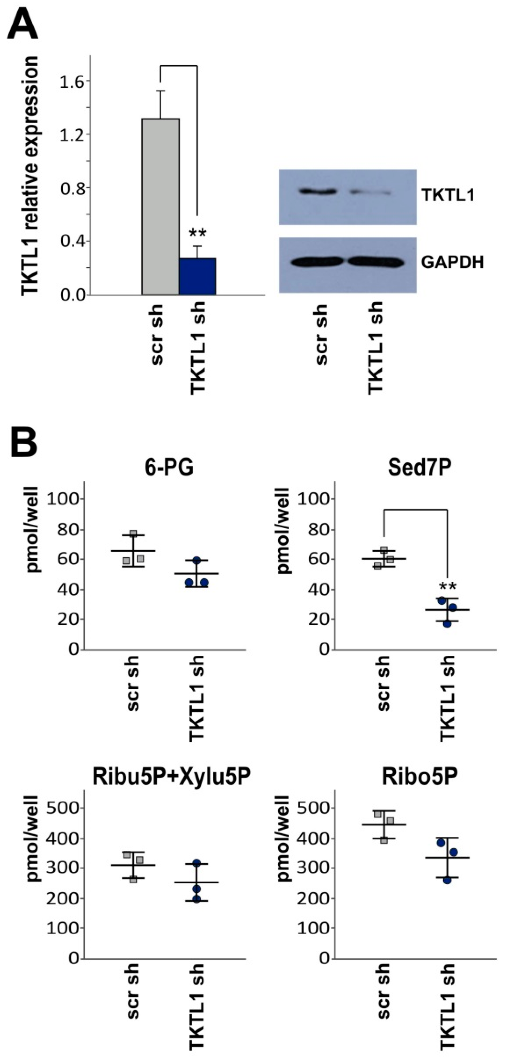 Ijms 19 02168 g002 Ijms 19 02168 g002