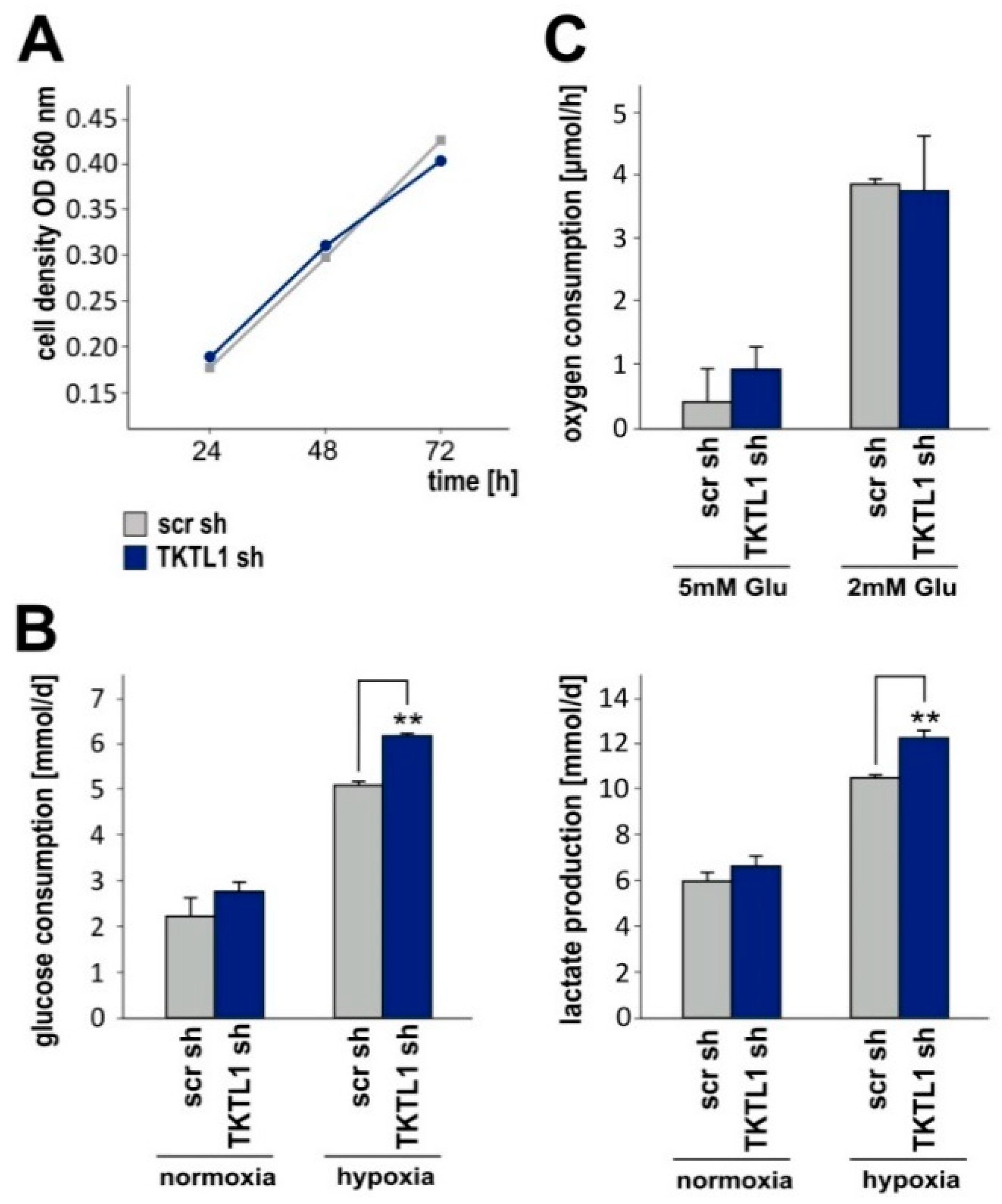 Ijms 19 02168 g003 Ijms 19 02168 g003