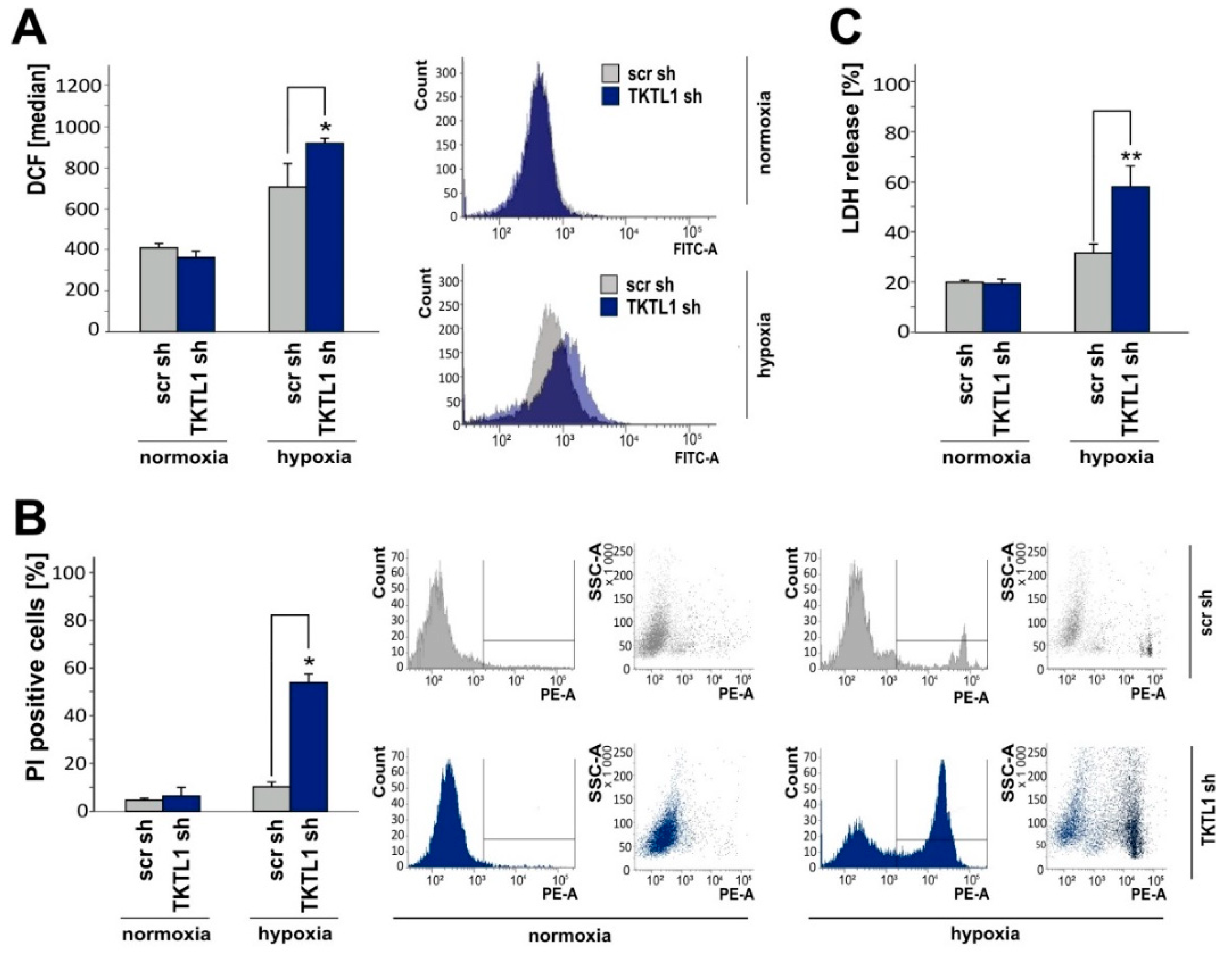 Ijms 19 02168 g004 Ijms 19 02168 g004