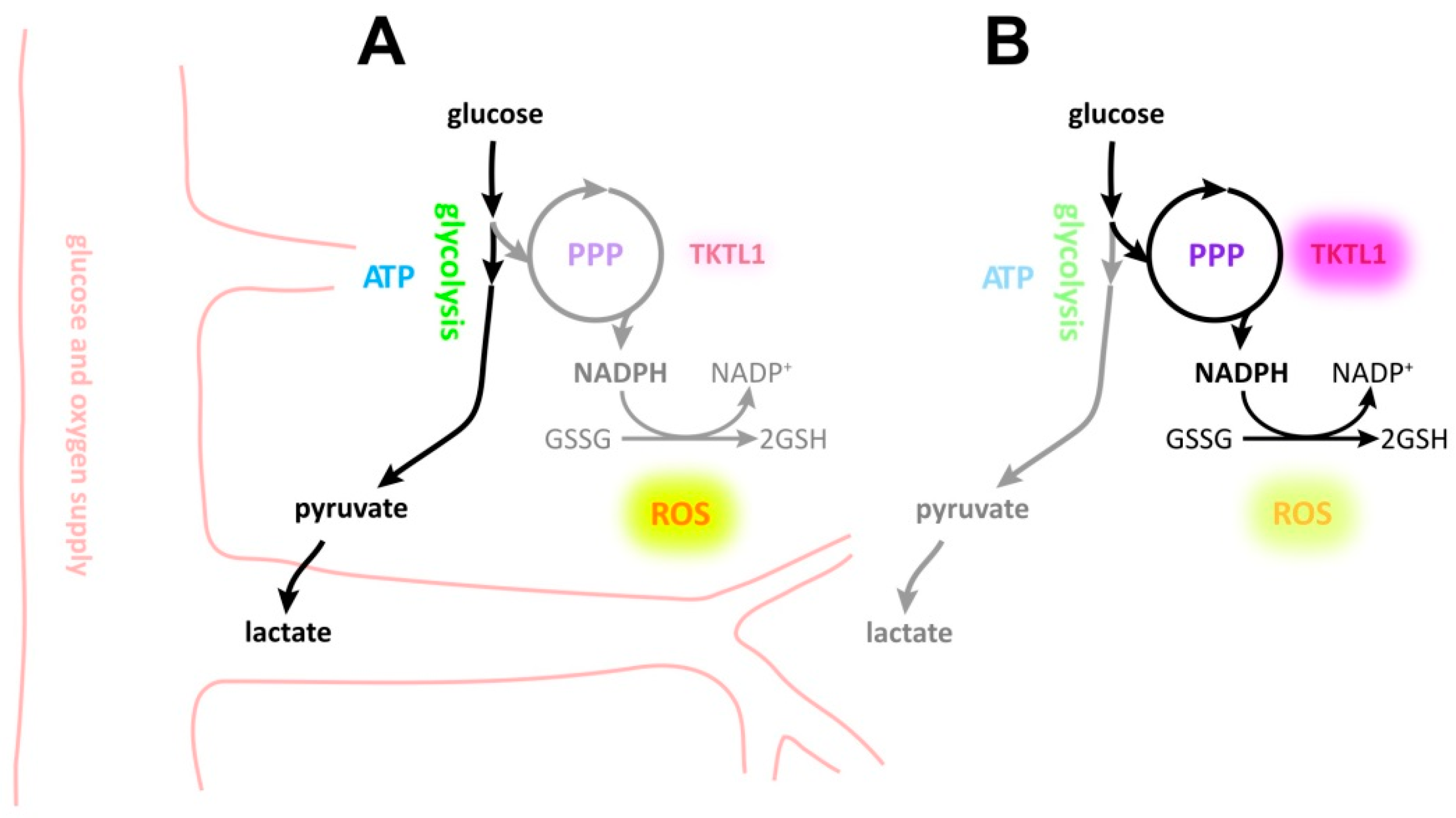 Ijms 19 02168 g007 Ijms 19 02168 g007