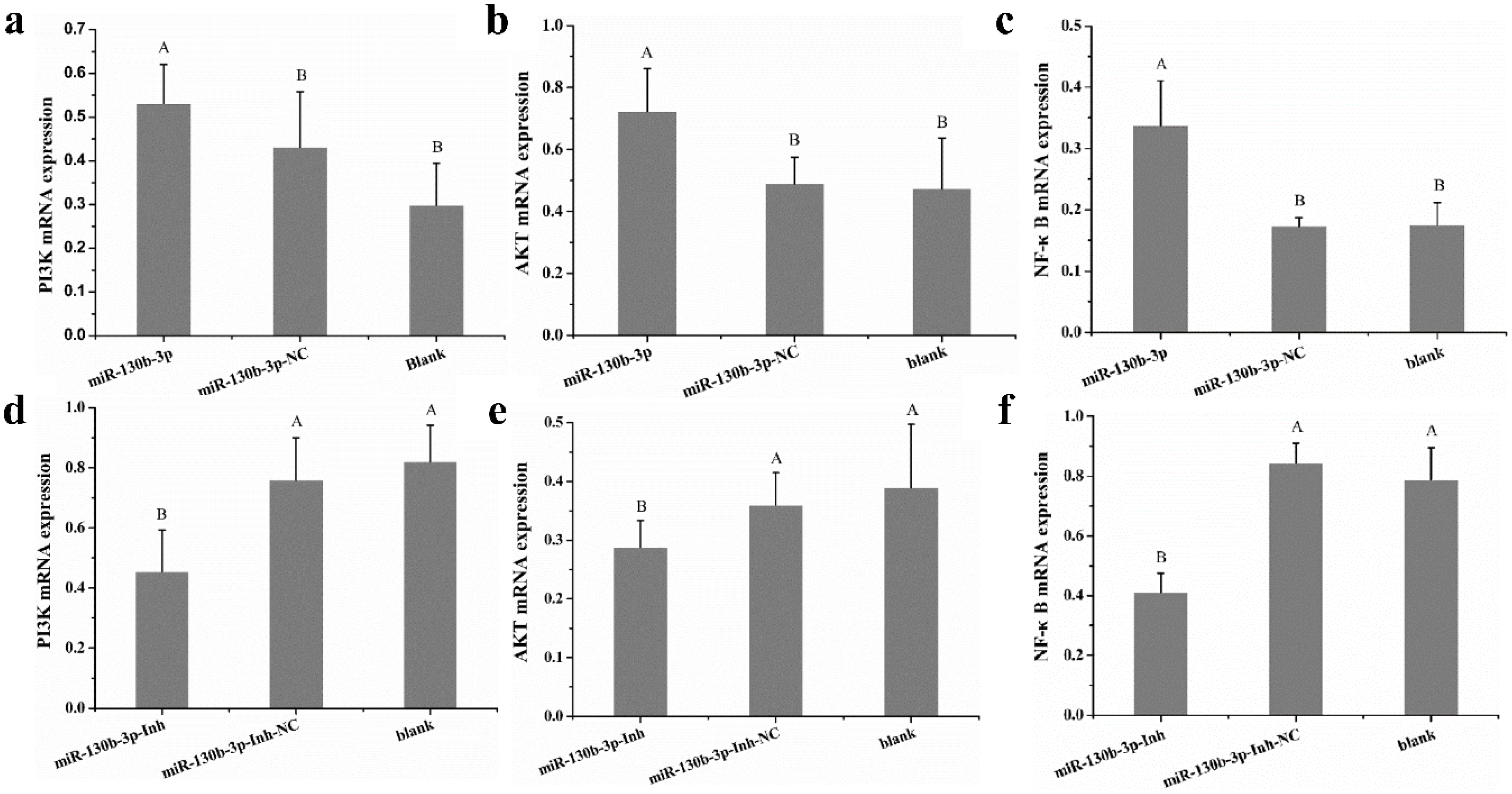 Ijms 19 02172 g007 Ijms 19 02172 g007