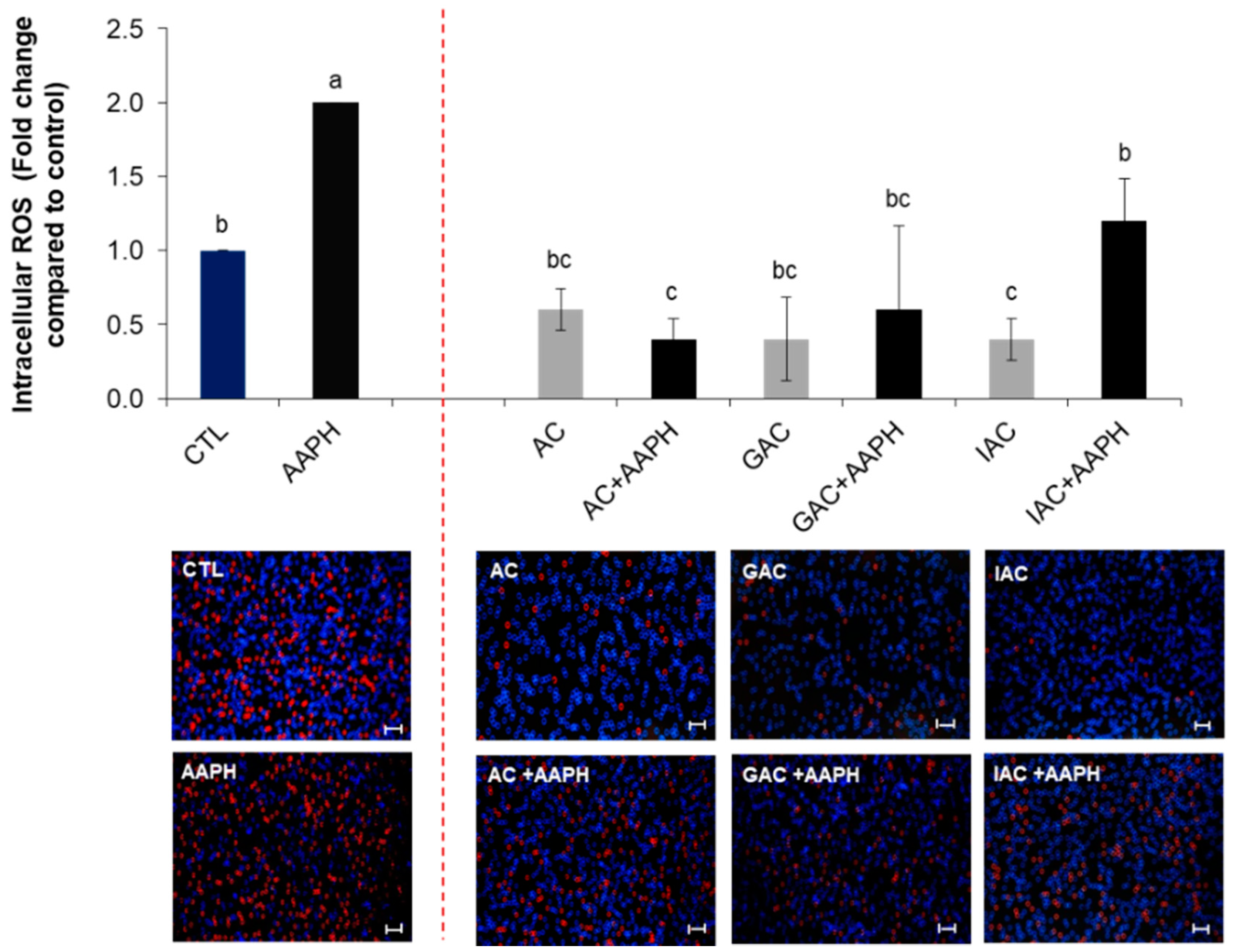 Ijms 19 02180 g005 Ijms 19 02180 g005