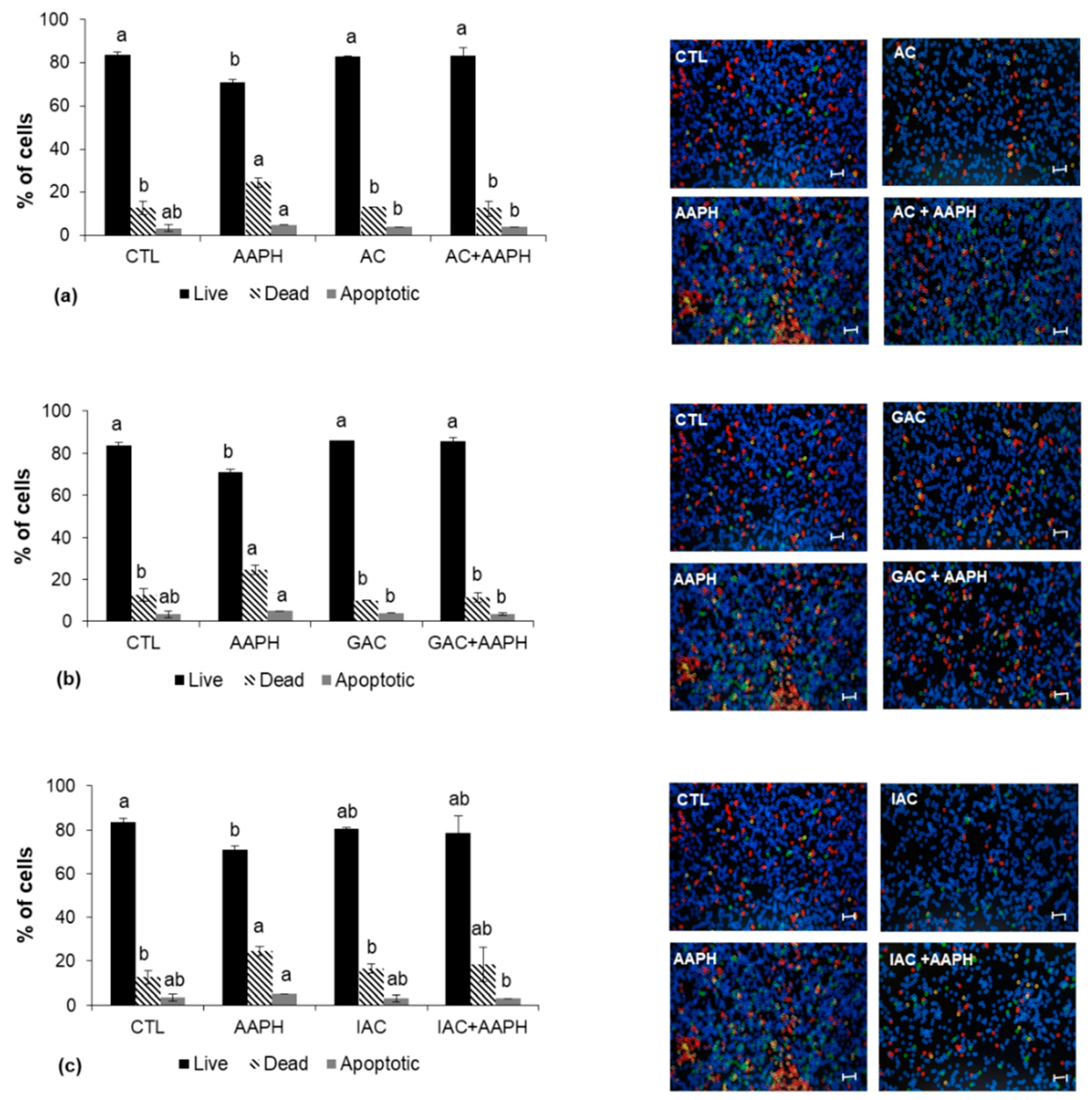 Ijms 19 02180 g007 Ijms 19 02180 g007