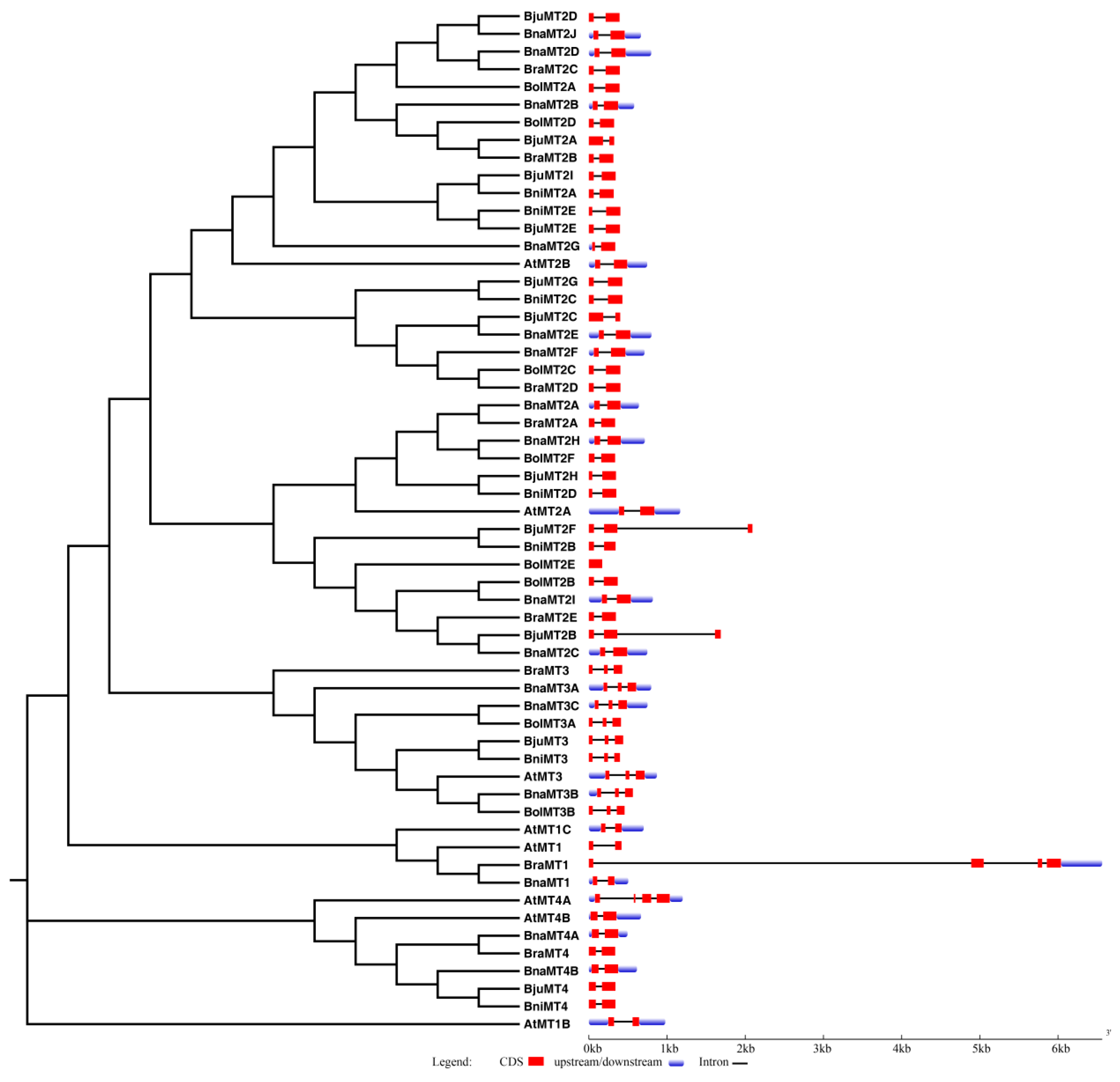 Ijms 19 02181 g003 Ijms 19 02181 g003