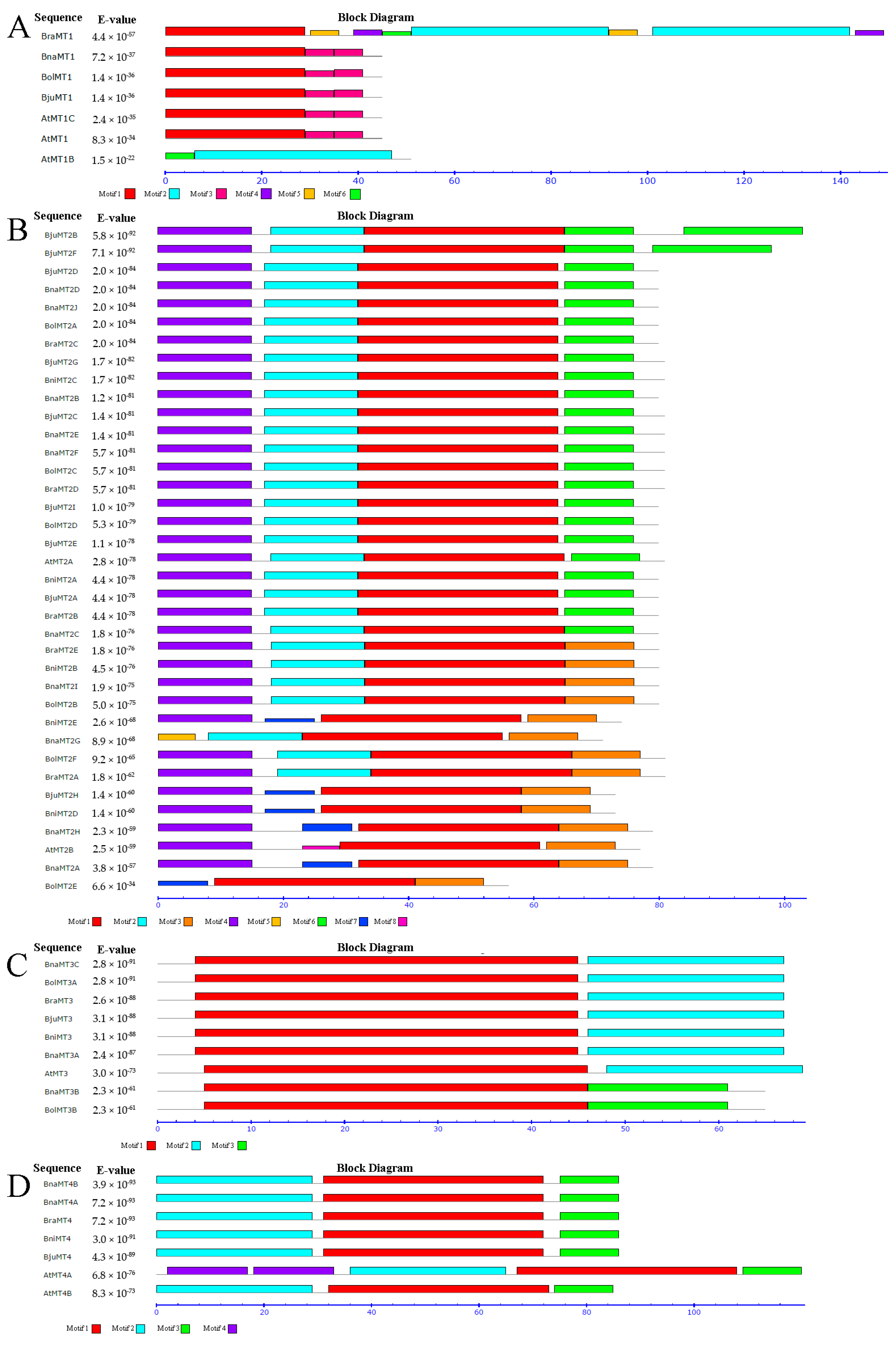 Ijms 19 02181 g004 Ijms 19 02181 g004