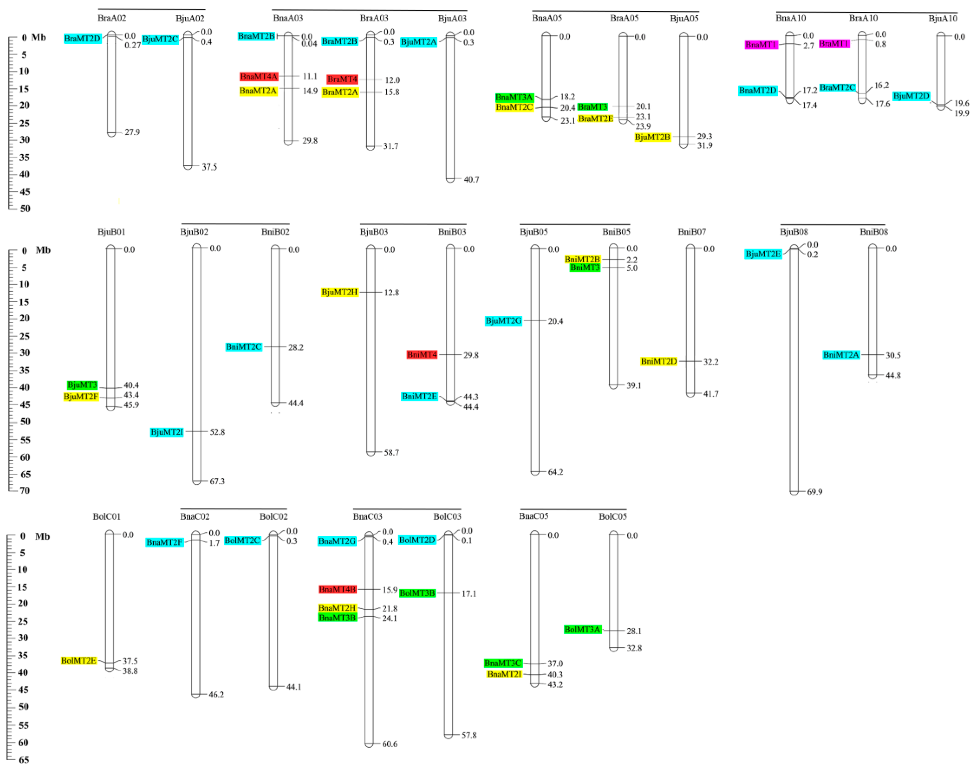 Ijms 19 02181 g005 Ijms 19 02181 g005