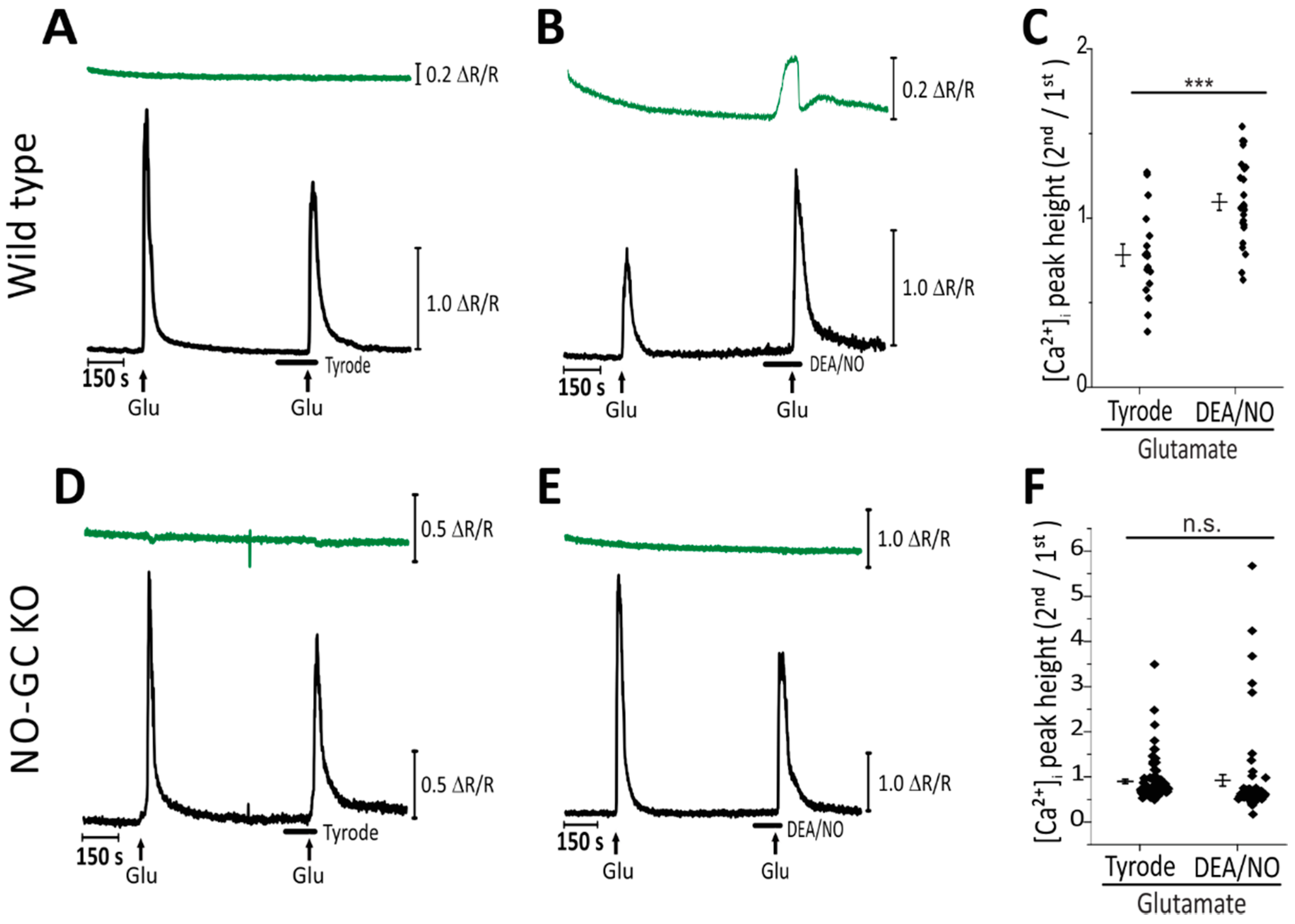 Ijms 19 02185 g002 Ijms 19 02185 g002