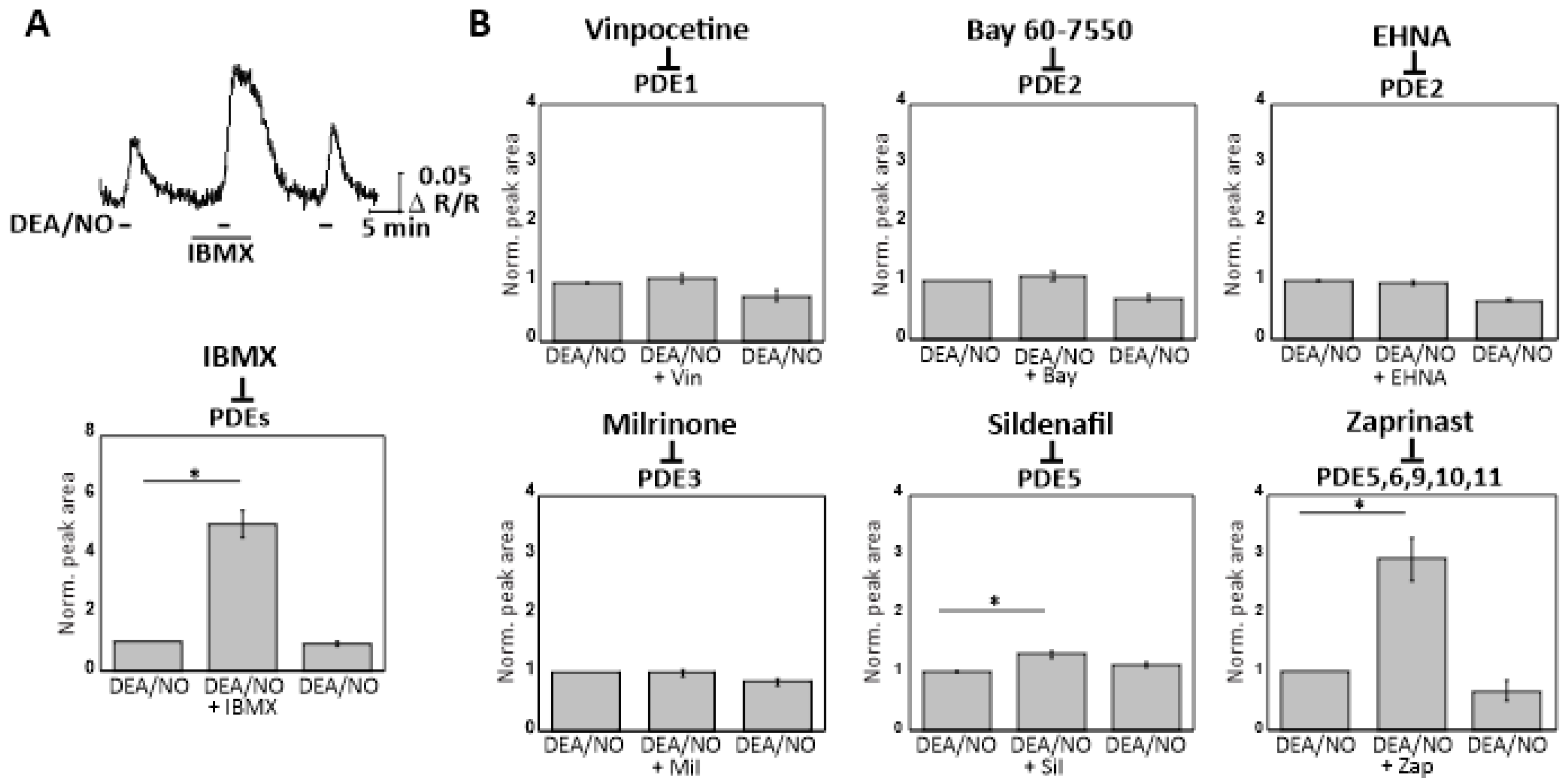 Ijms 19 02185 g005 Ijms 19 02185 g005