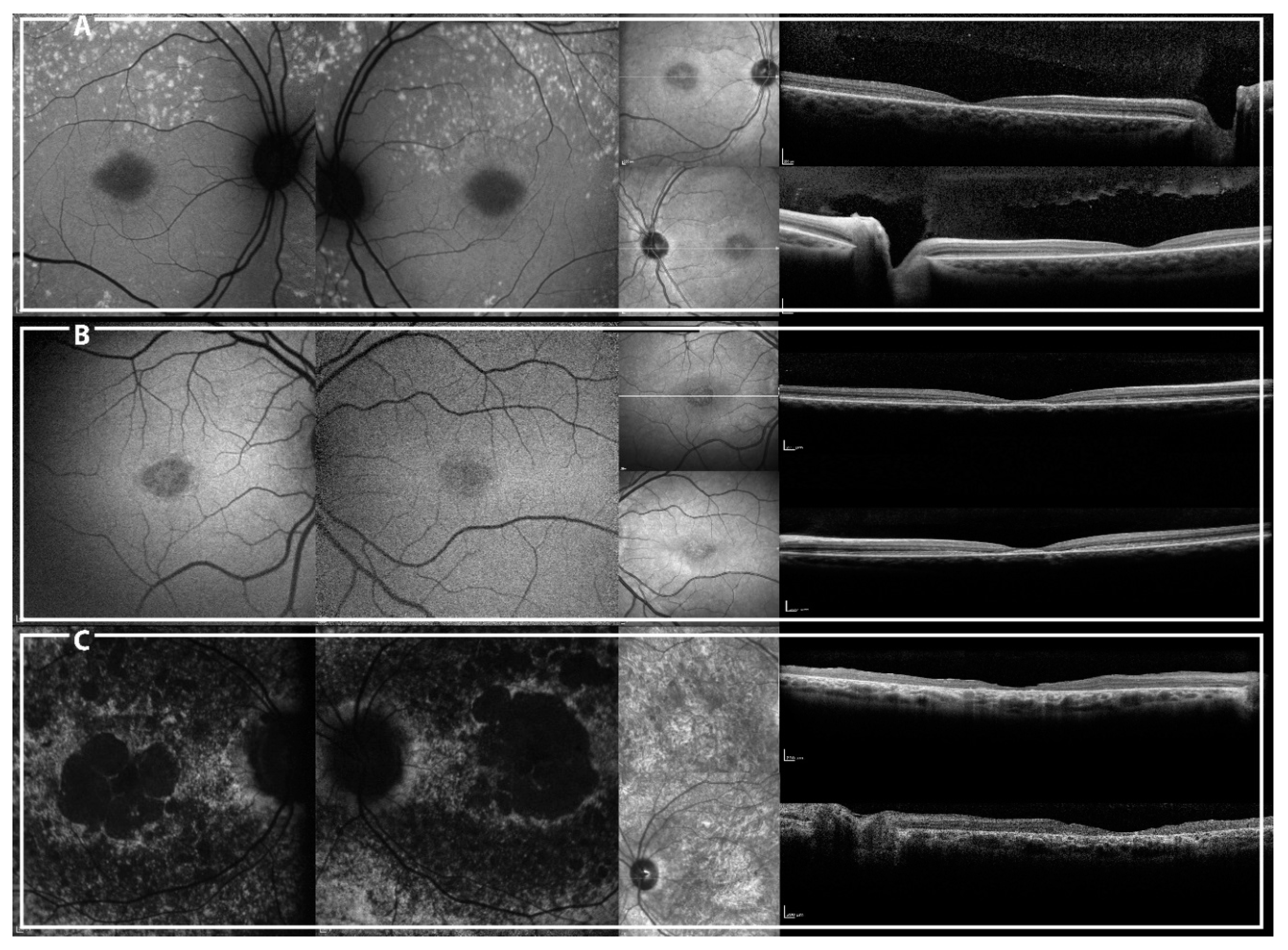 Ijms 19 02196 g006 Ijms 19 02196 g006