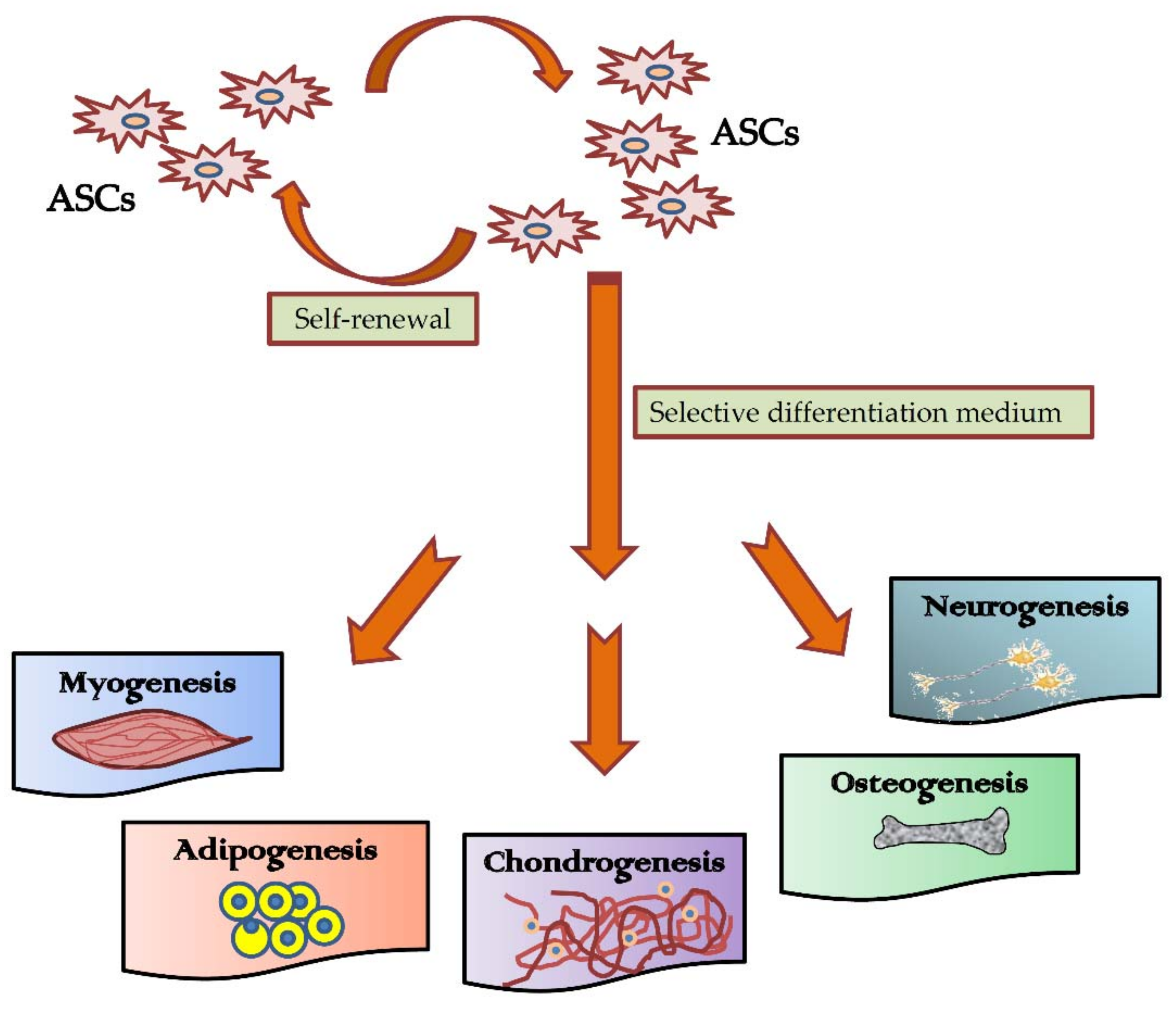 Ijms 19 02200 g002 Ijms 19 02200 g002
