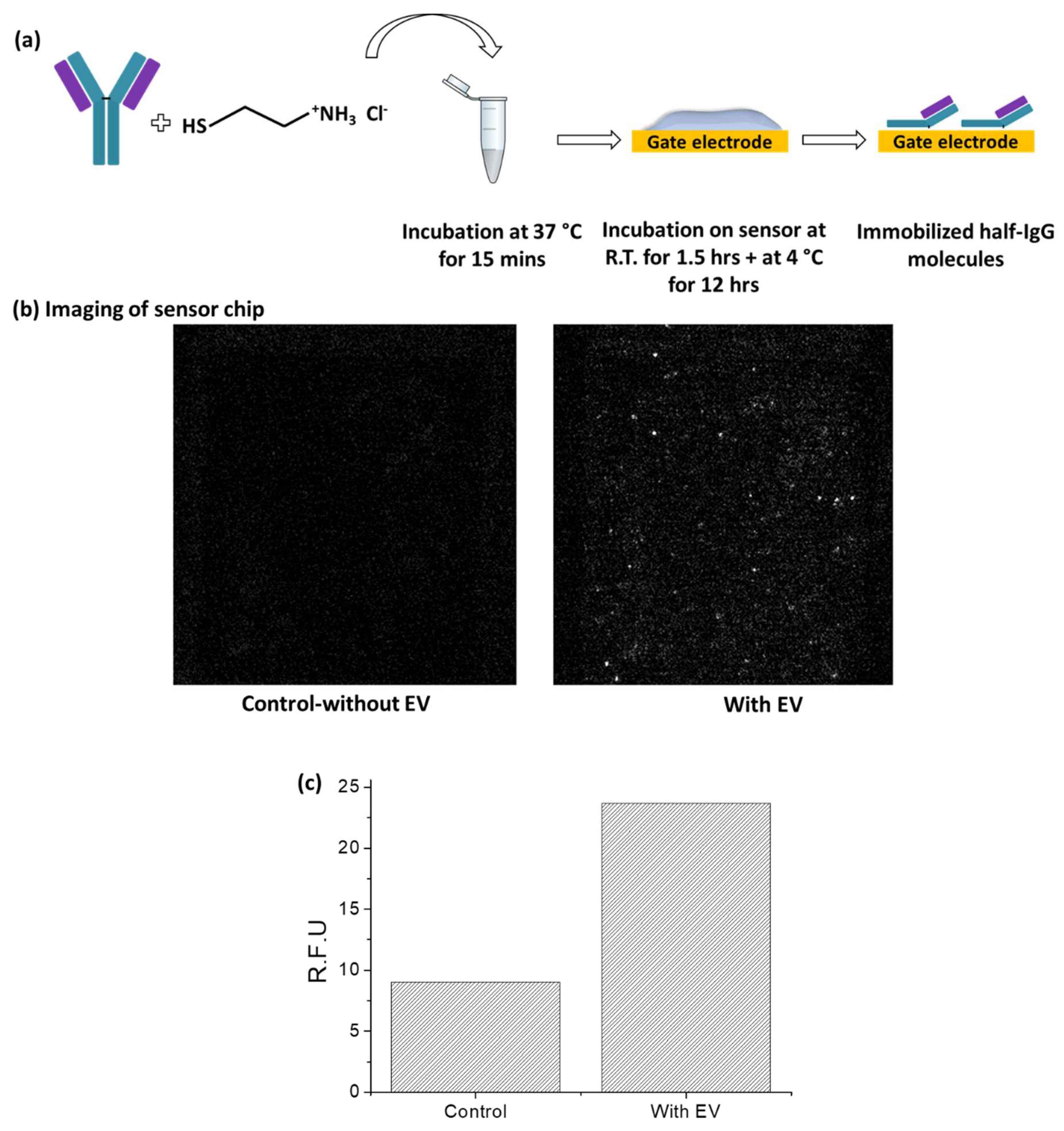 Ijms 19 02213 g002 Ijms 19 02213 g002