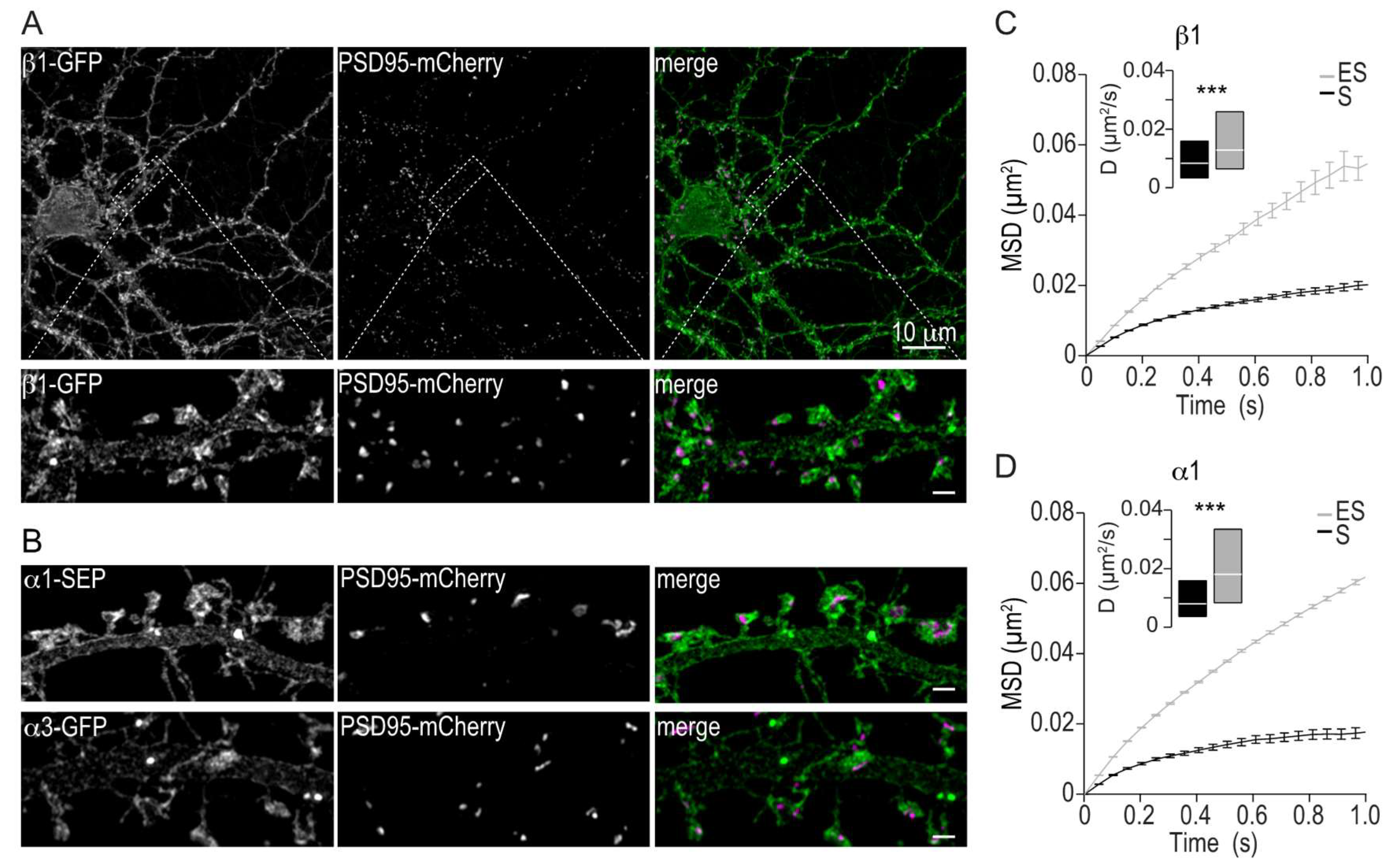 Ijms 19 02214 g002 Ijms 19 02214 g002