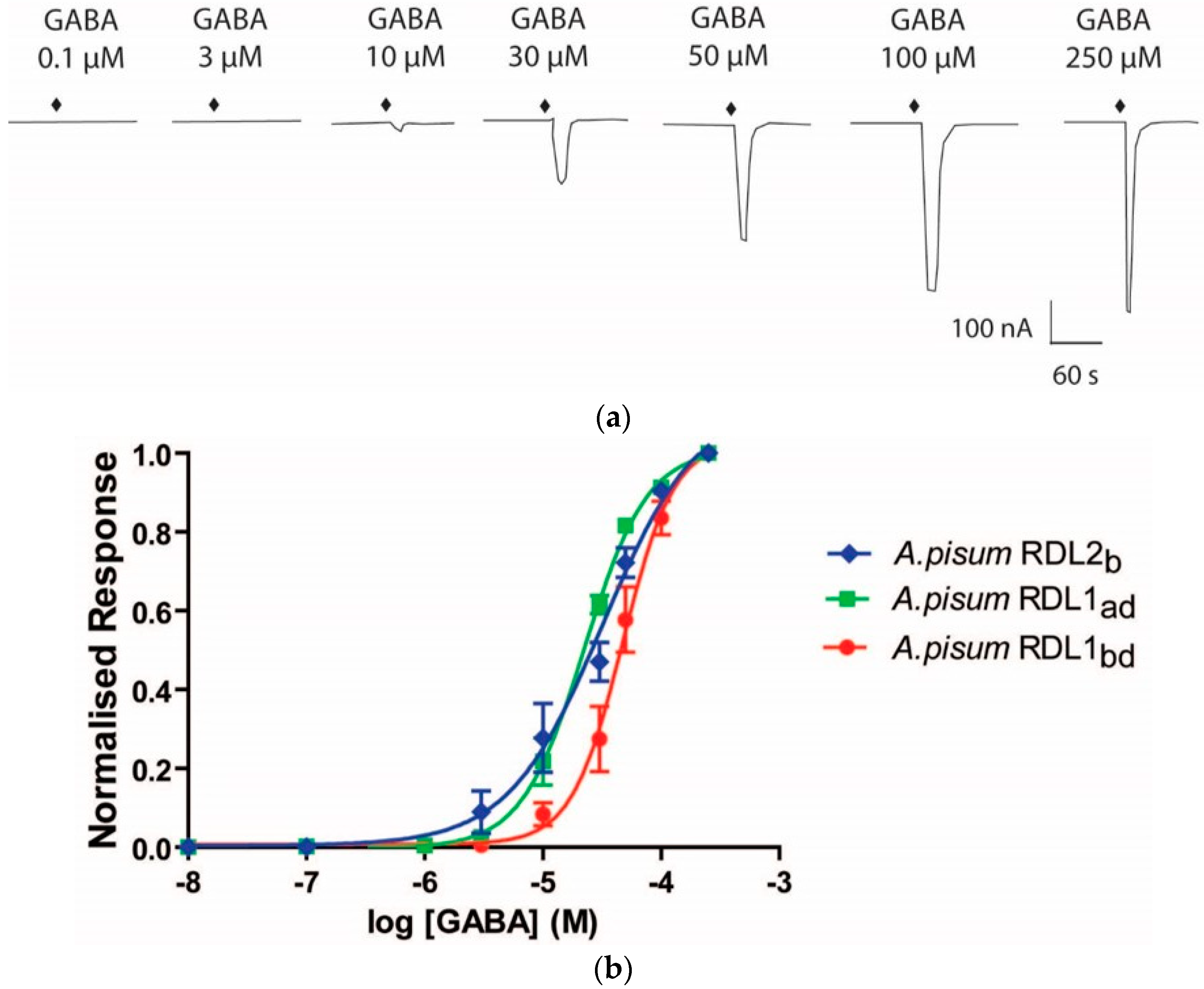 Ijms 19 02235 g005 Ijms 19 02235 g005