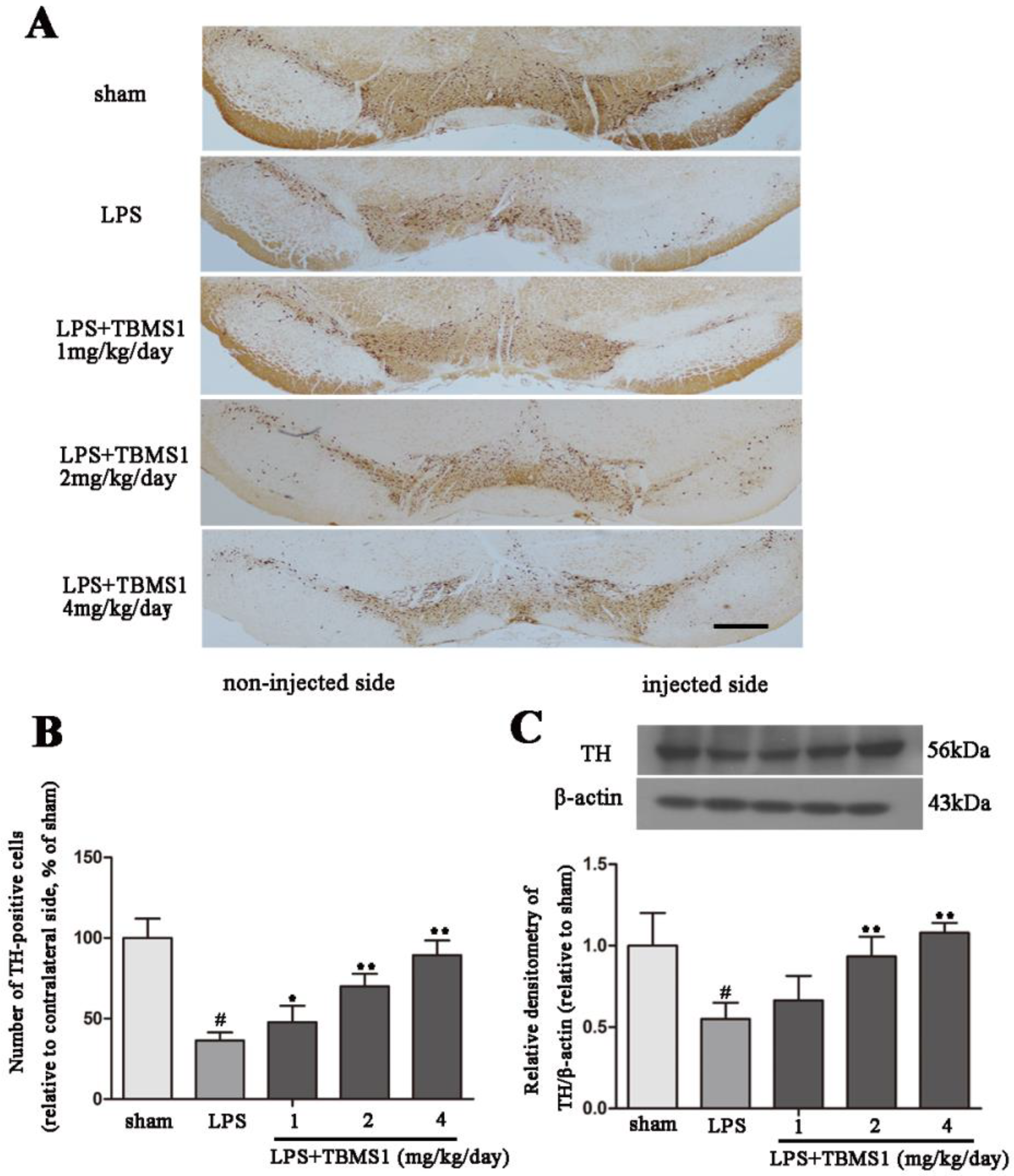 Ijms 19 02242 g002 Ijms 19 02242 g002