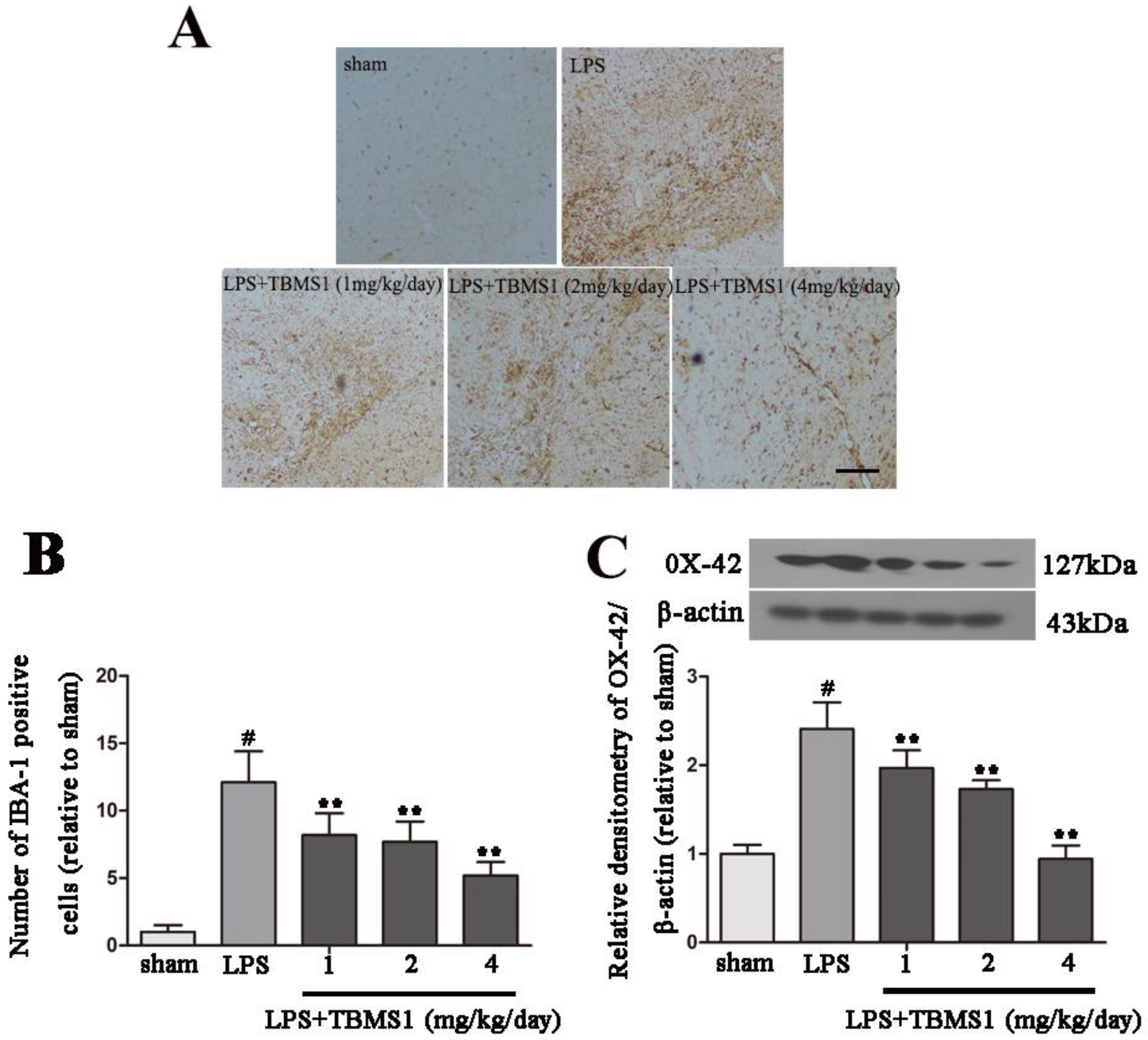 Ijms 19 02242 g003 Ijms 19 02242 g003
