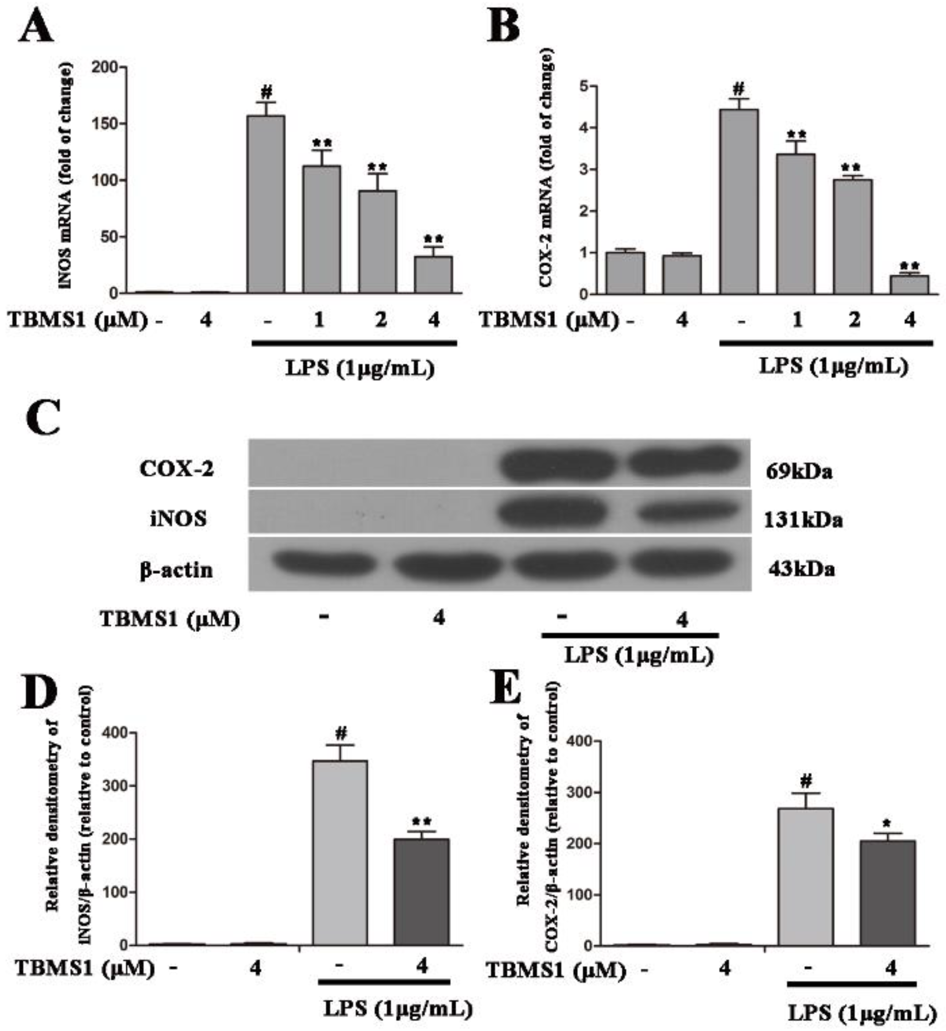 Ijms 19 02242 g006 Ijms 19 02242 g006