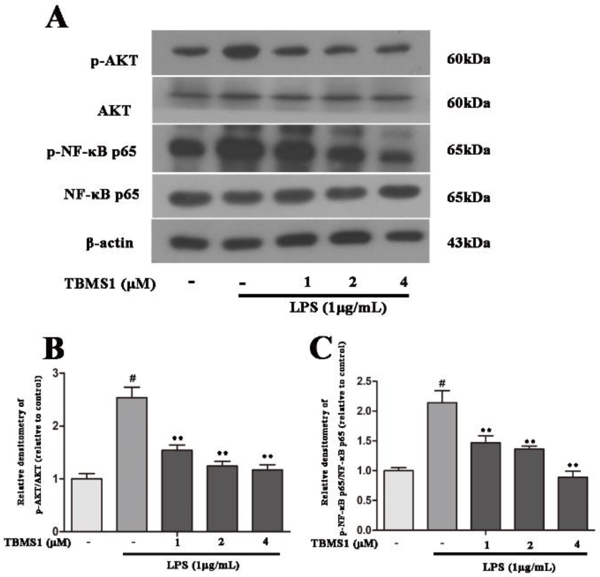 Ijms 19 02242 g007 Ijms 19 02242 g007