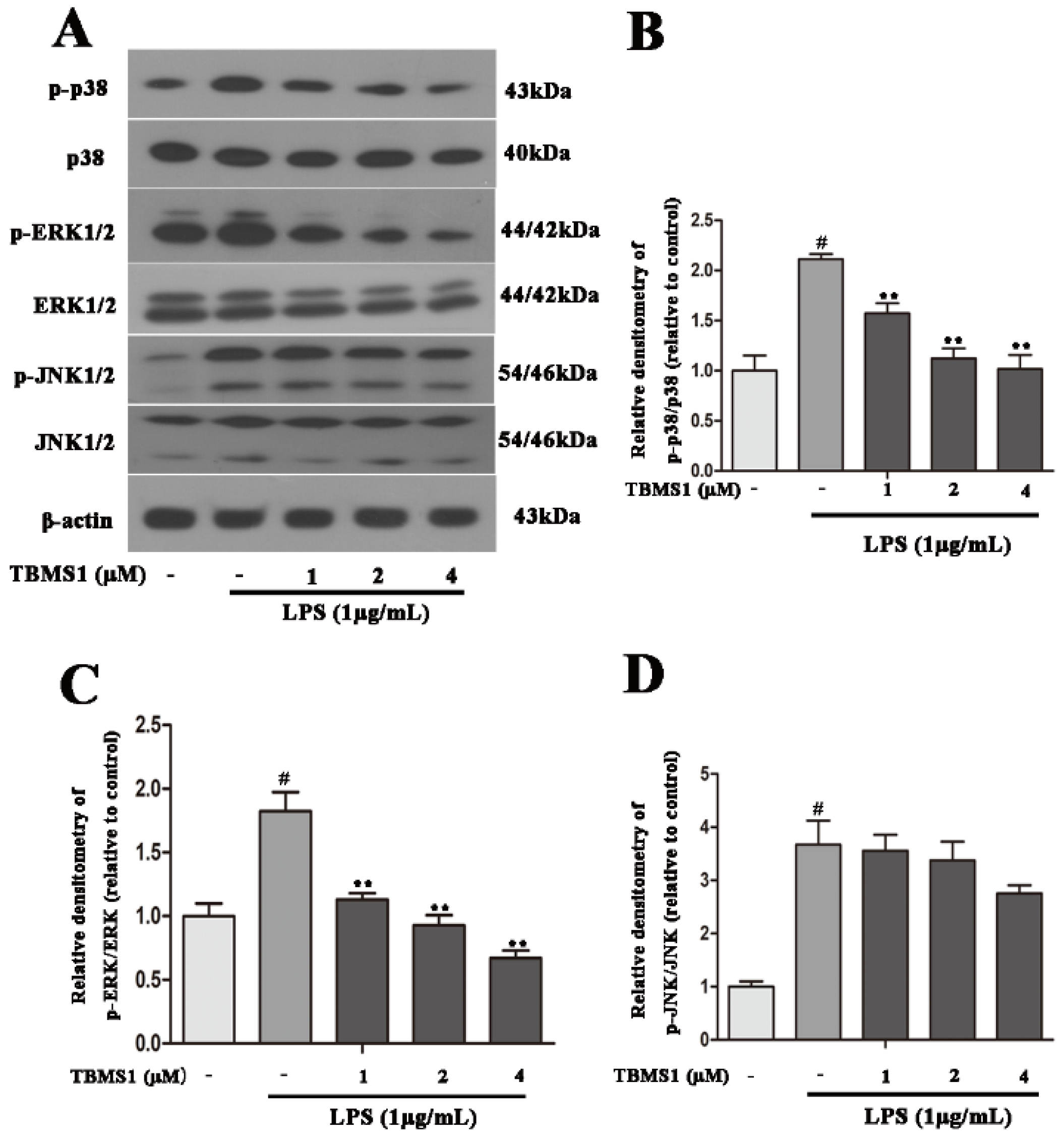 Ijms 19 02242 g008 Ijms 19 02242 g008