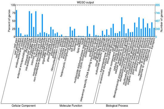 RNA-seq Analysis Reveals Gene Expression Profiling of Female