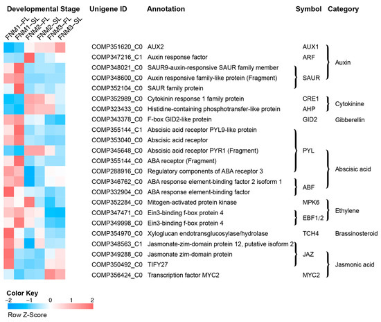 RNA-seq Analysis Reveals Gene Expression Profiling of Female