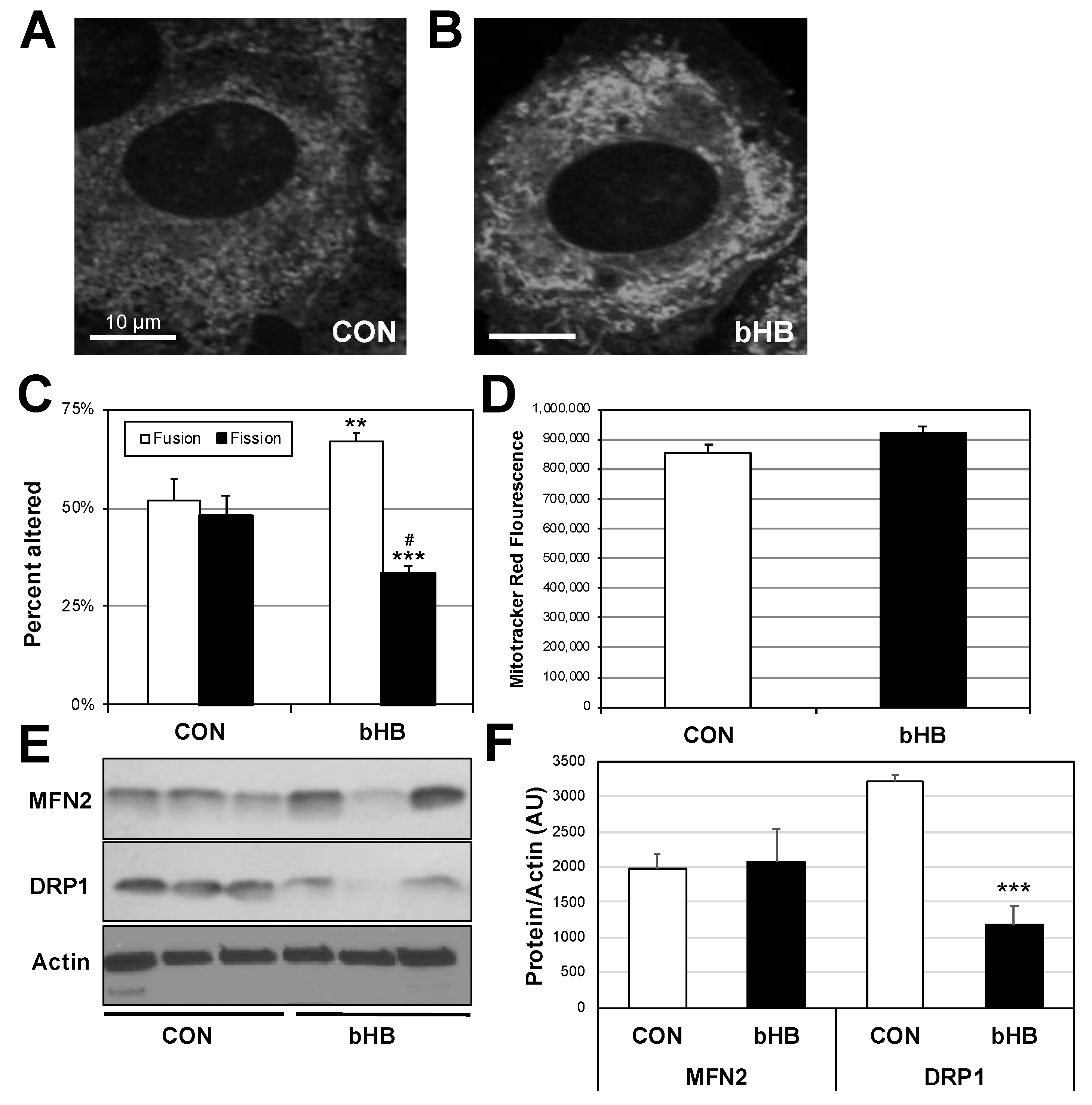 Ijms 19 02247 g003