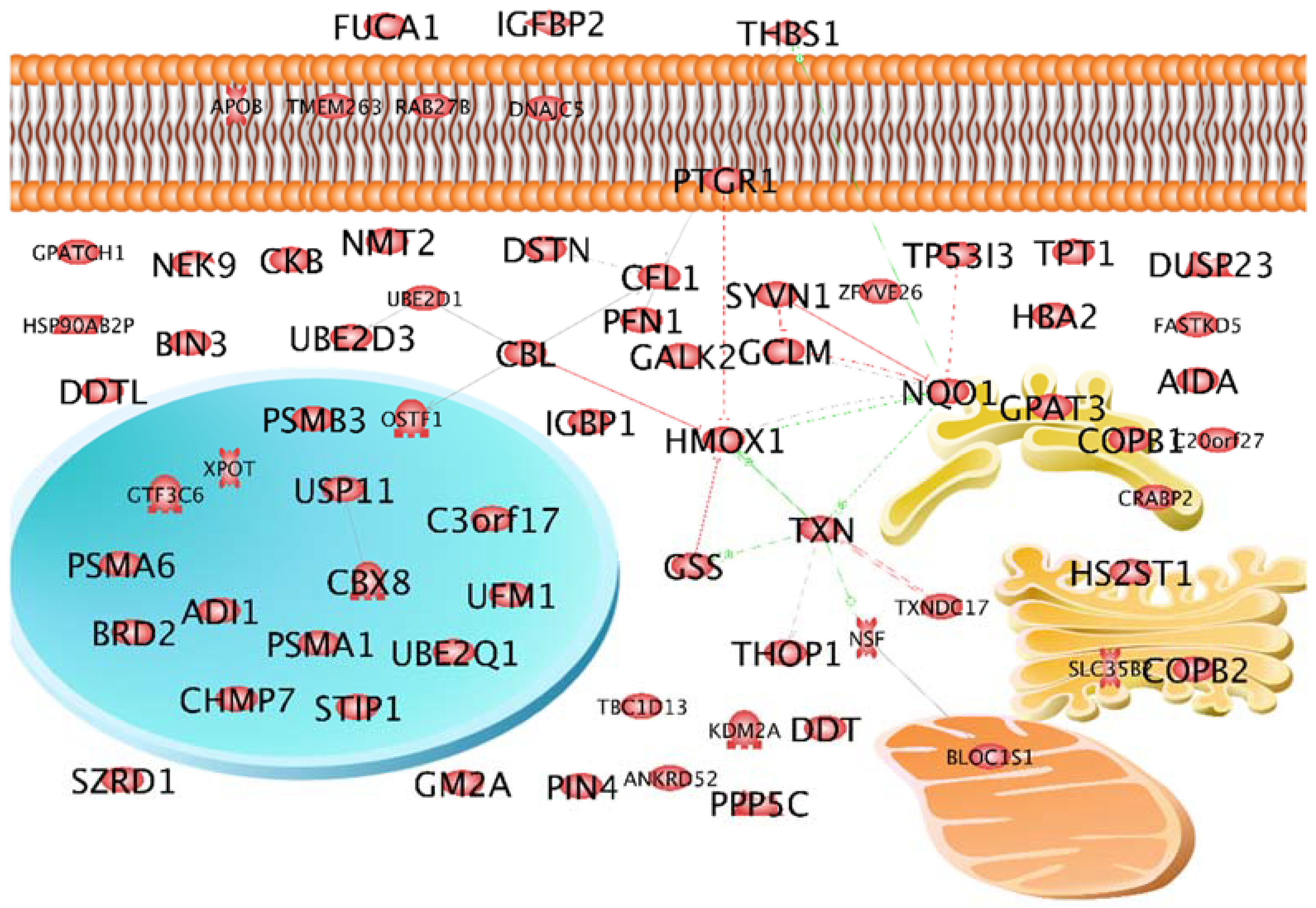 Ijms 19 02257 g001 Ijms 19 02257 g001
