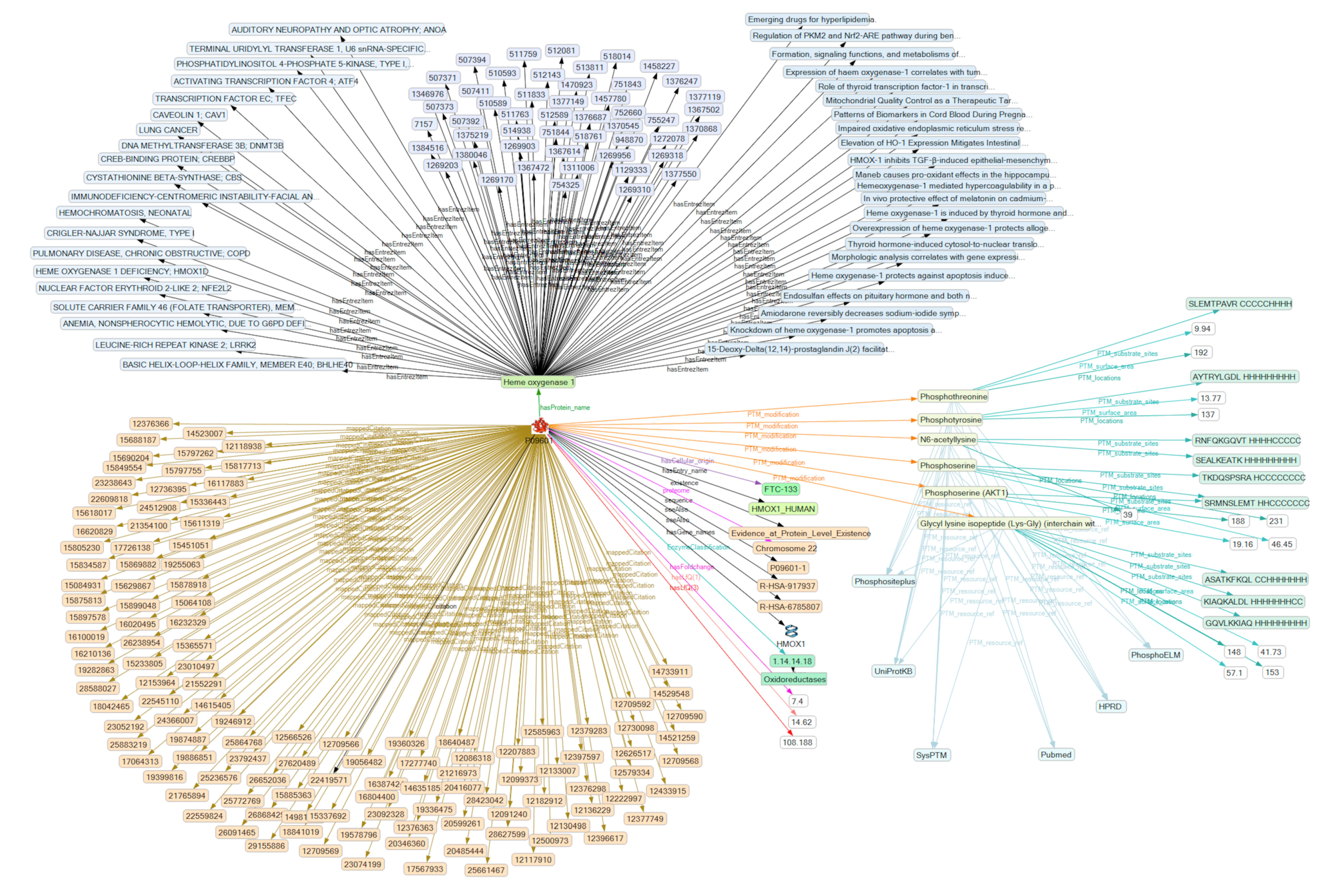 Ijms 19 02257 g004 Ijms 19 02257 g004
