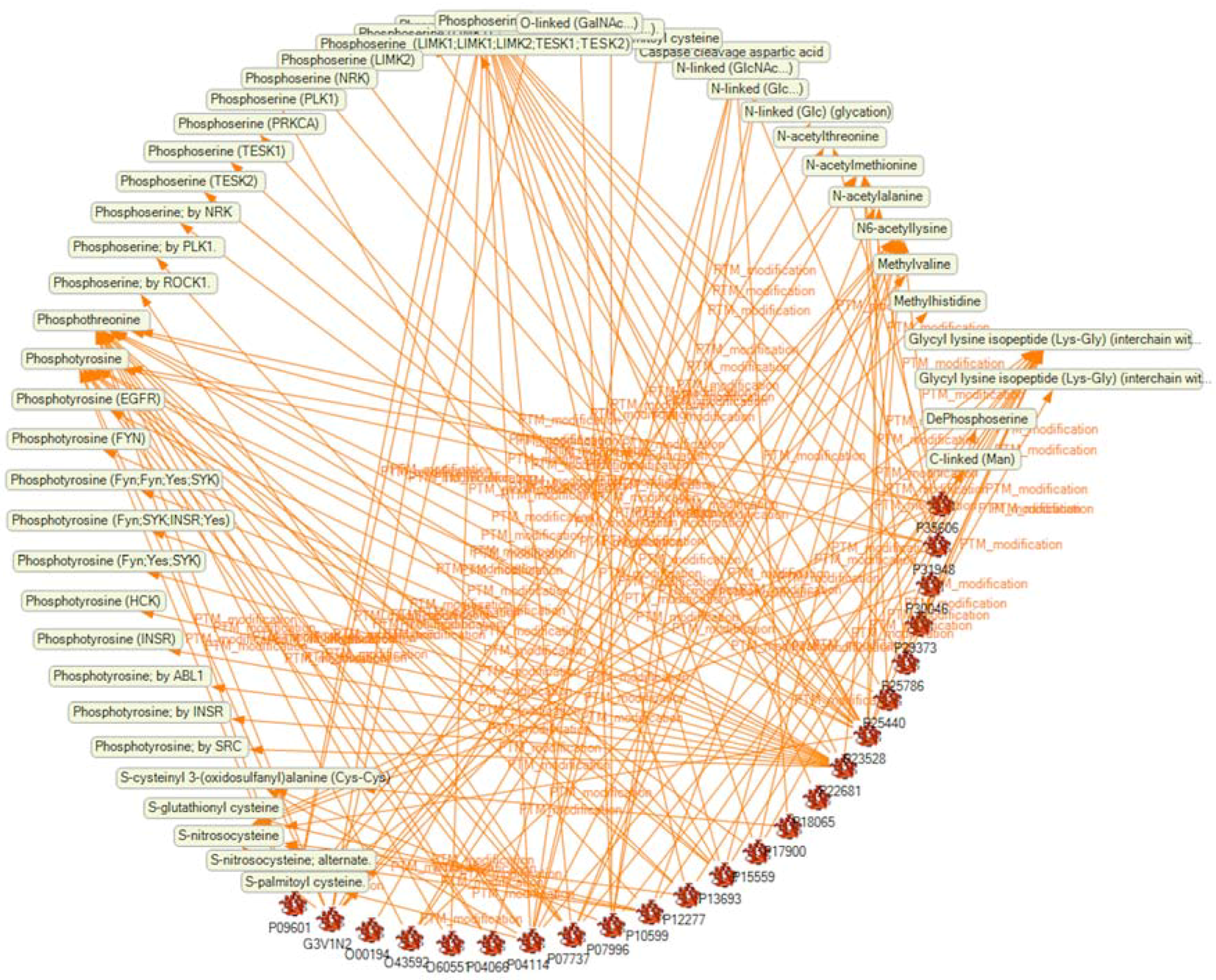 Ijms 19 02257 g006 Ijms 19 02257 g006