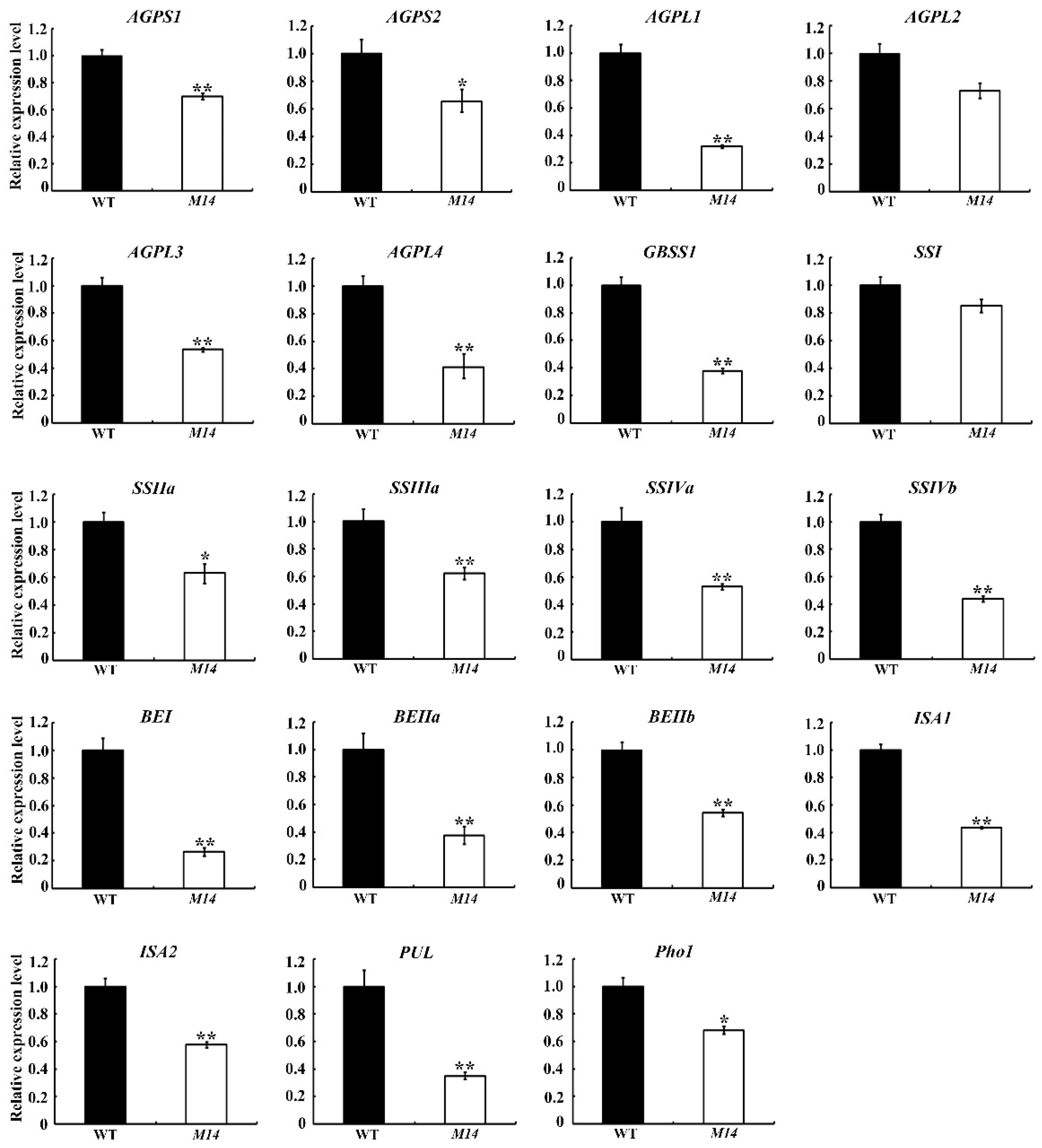 Ijms 19 02268 g007 Ijms 19 02268 g007