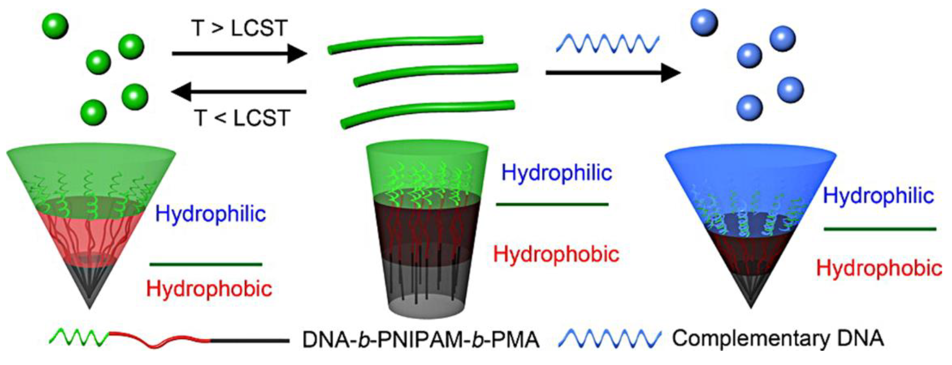 Ijms 19 02283 g005 Ijms 19 02283 g005