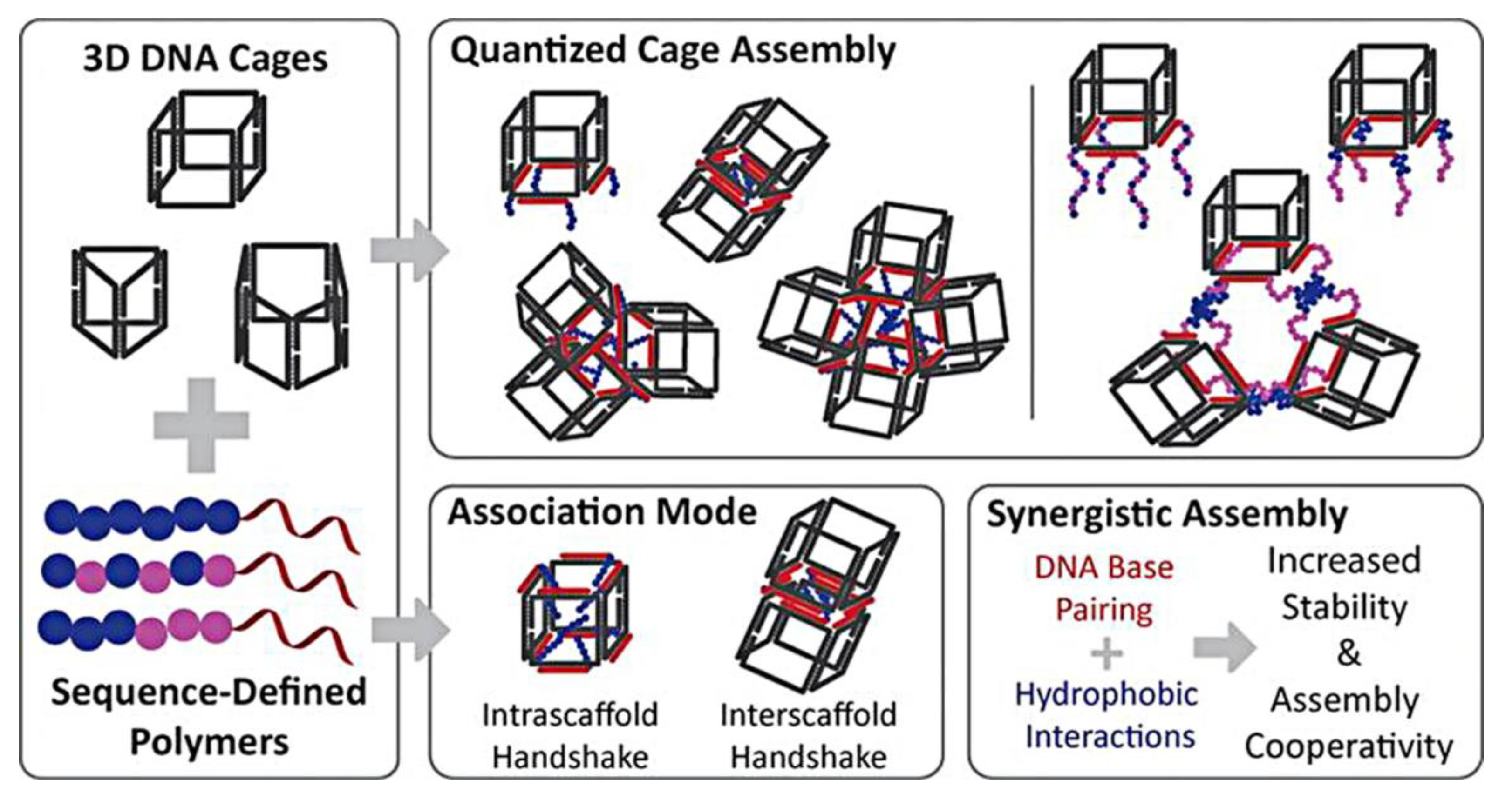 Ijms 19 02283 g007 Ijms 19 02283 g007