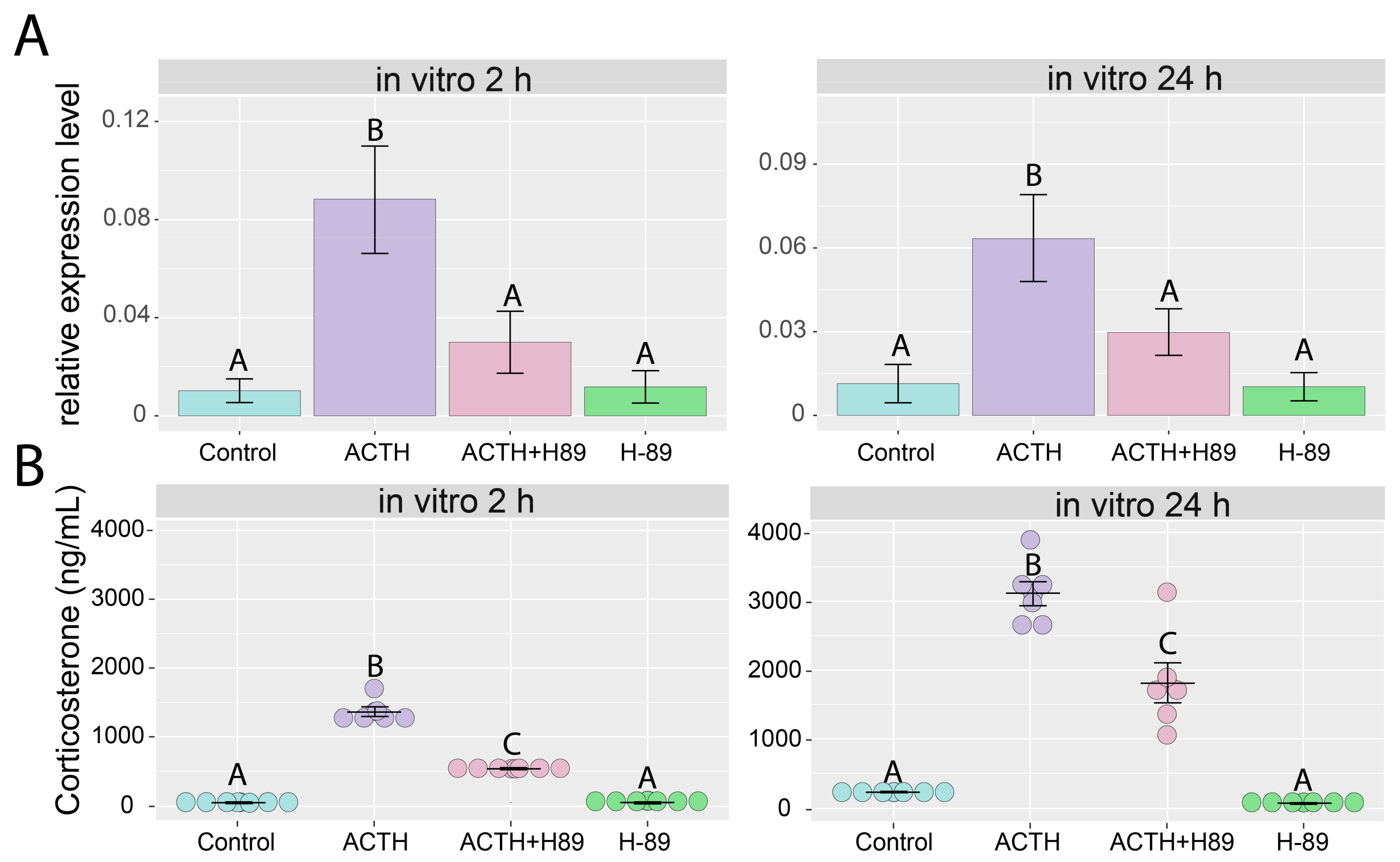 Ijms 19 02285 g007 Ijms 19 02285 g007