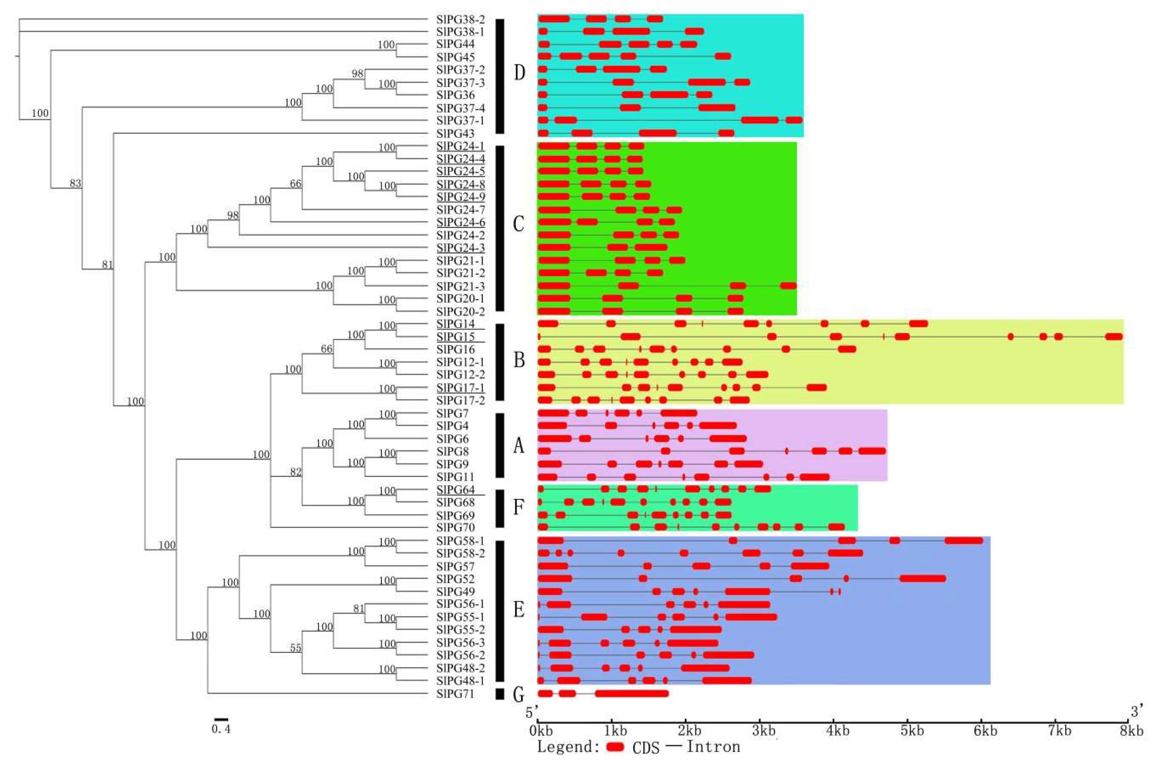 Ijms 19 02290 g003 Ijms 19 02290 g003