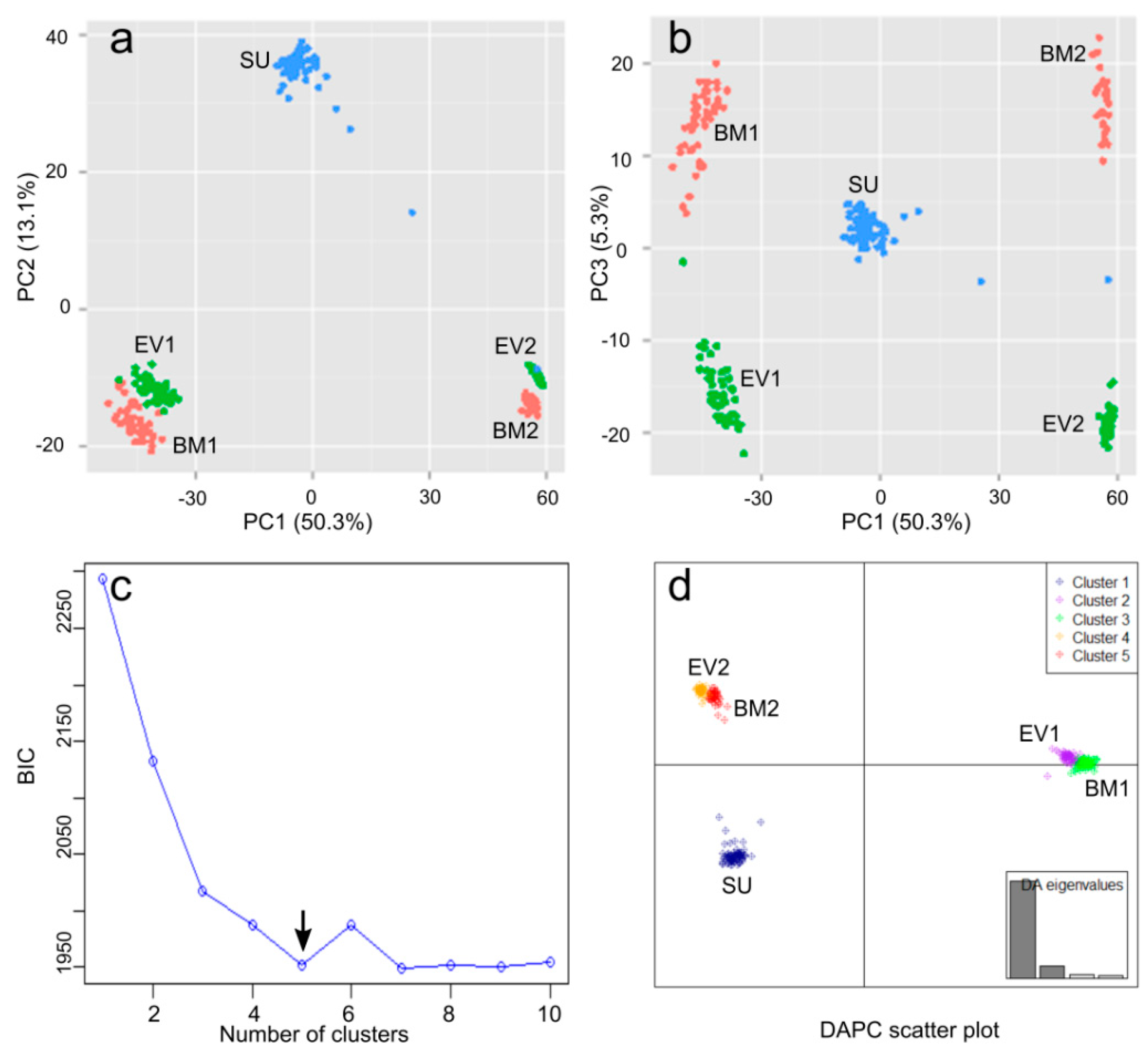 Ijms 19 02303 g003 Ijms 19 02303 g003