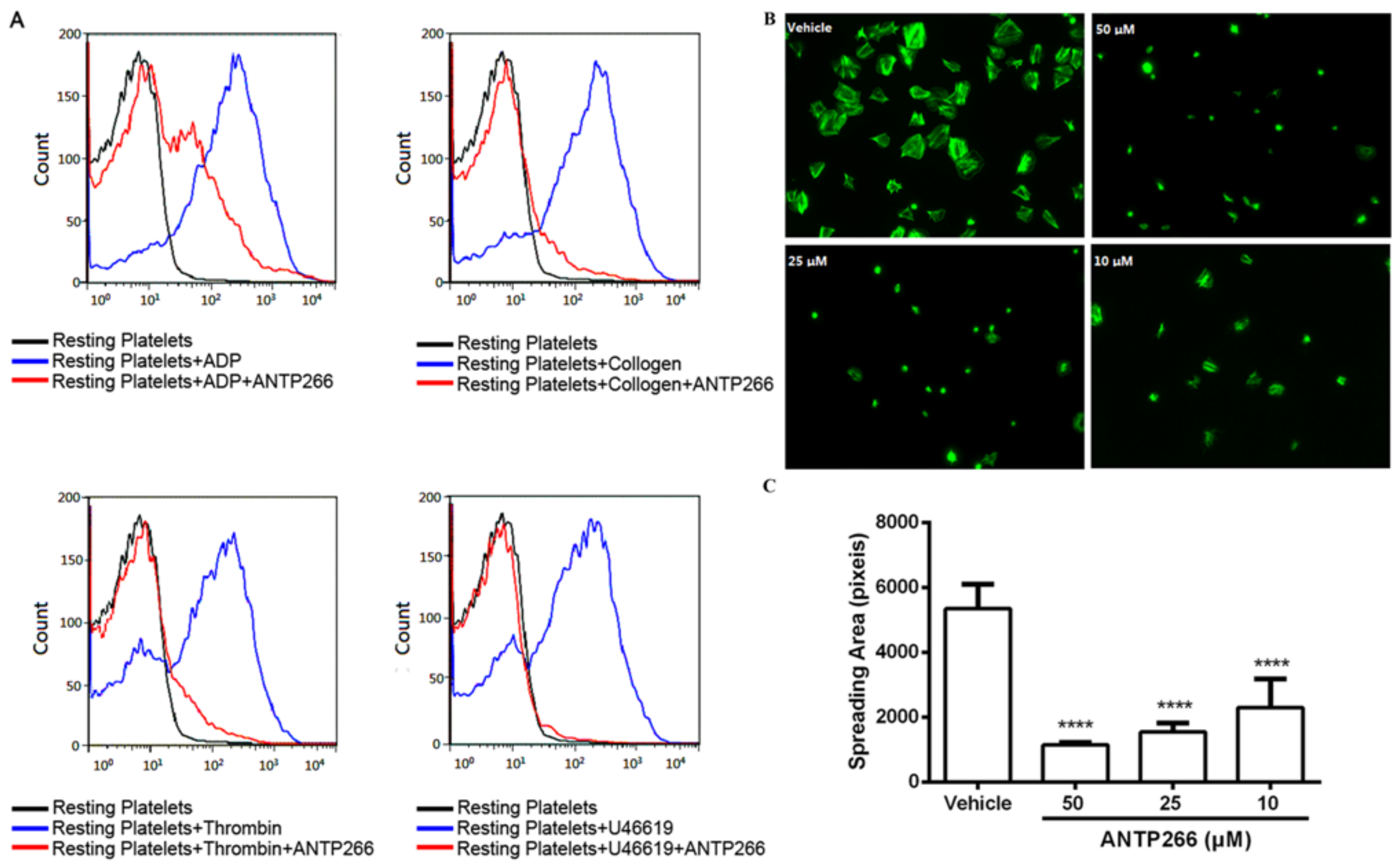 Ijms 19 02306 g003 Ijms 19 02306 g003