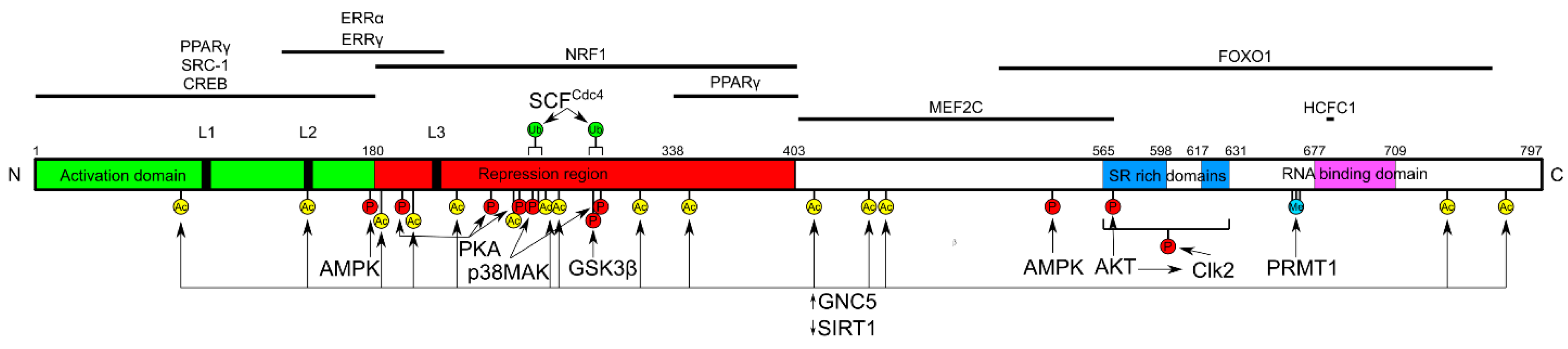 Ijms 19 02317 g001 Ijms 19 02317 g001