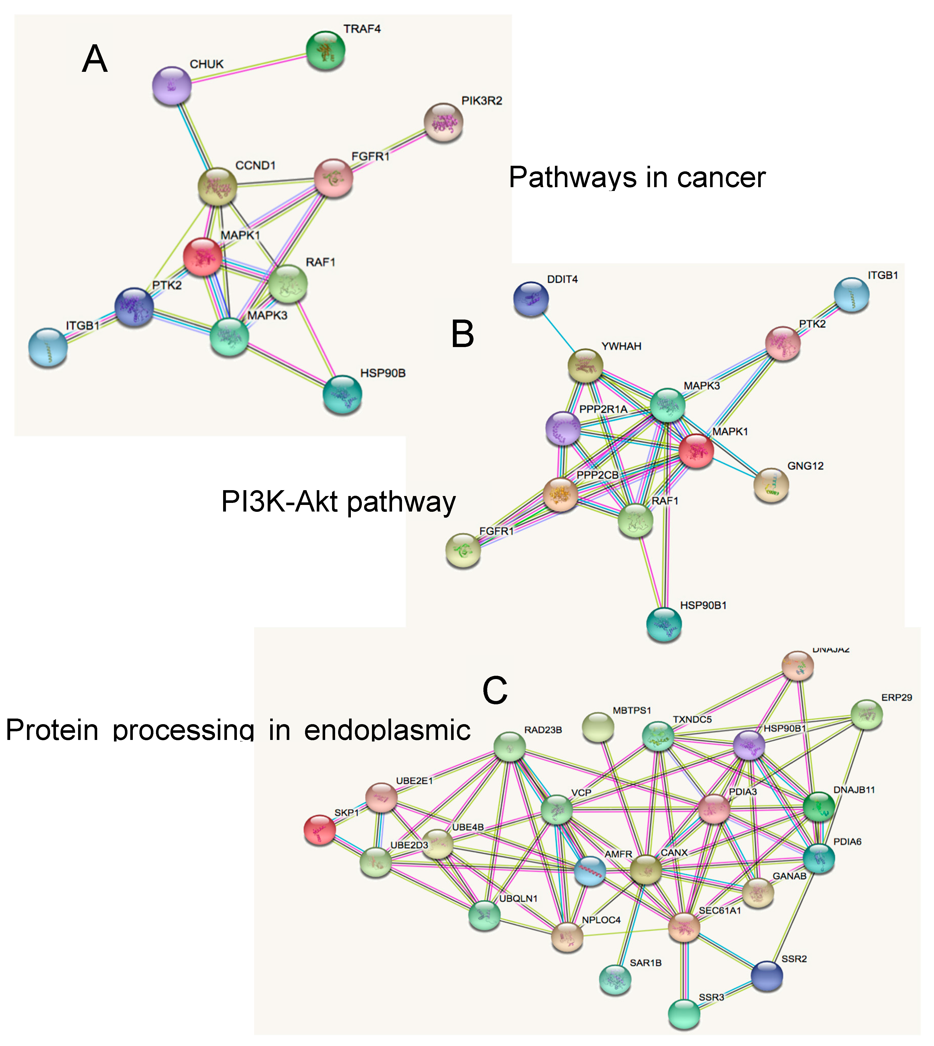Ijms 19 02326 g005 Ijms 19 02326 g005